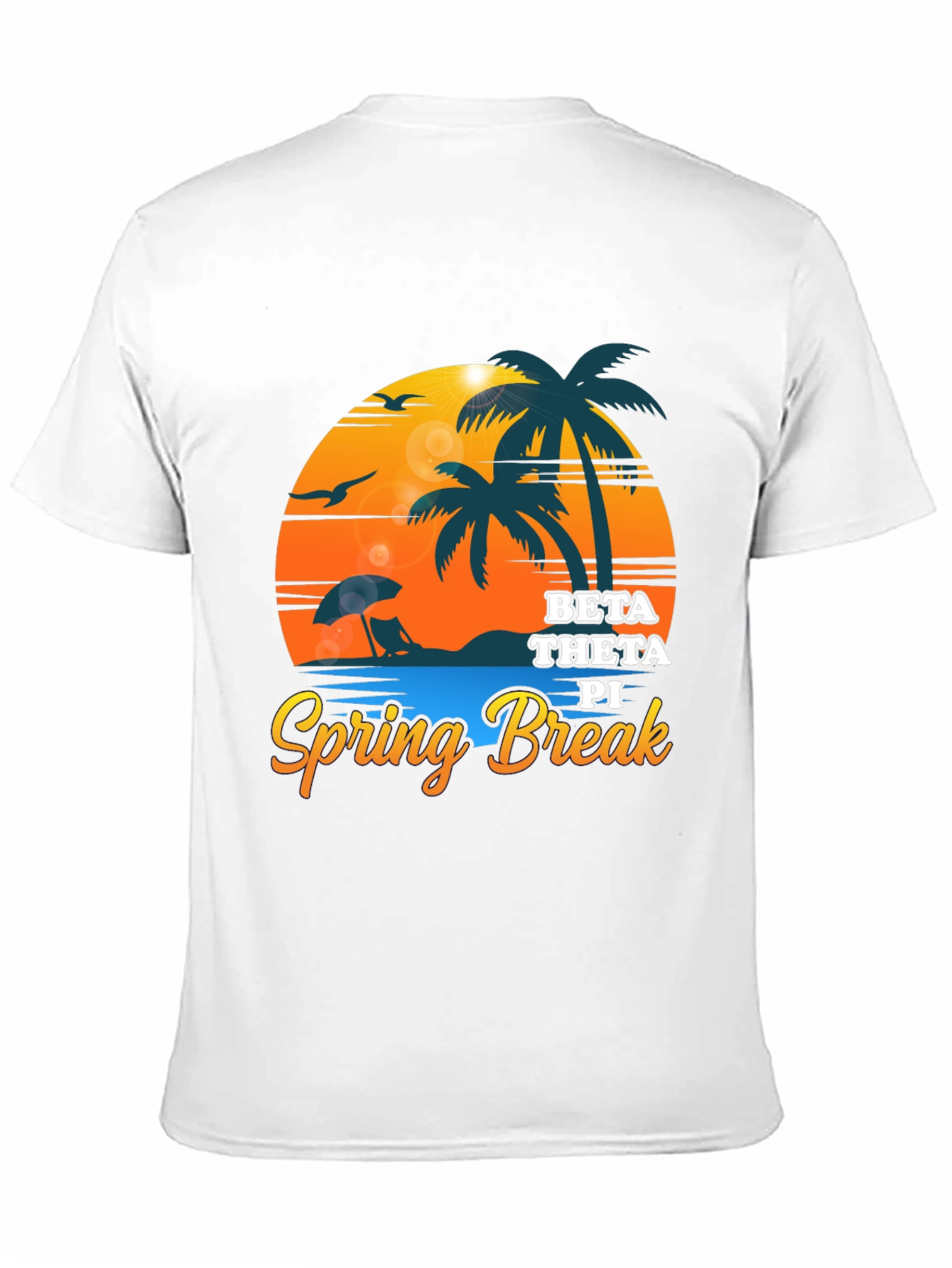 Beta Theta Pi Spring Break Black T-Shirt