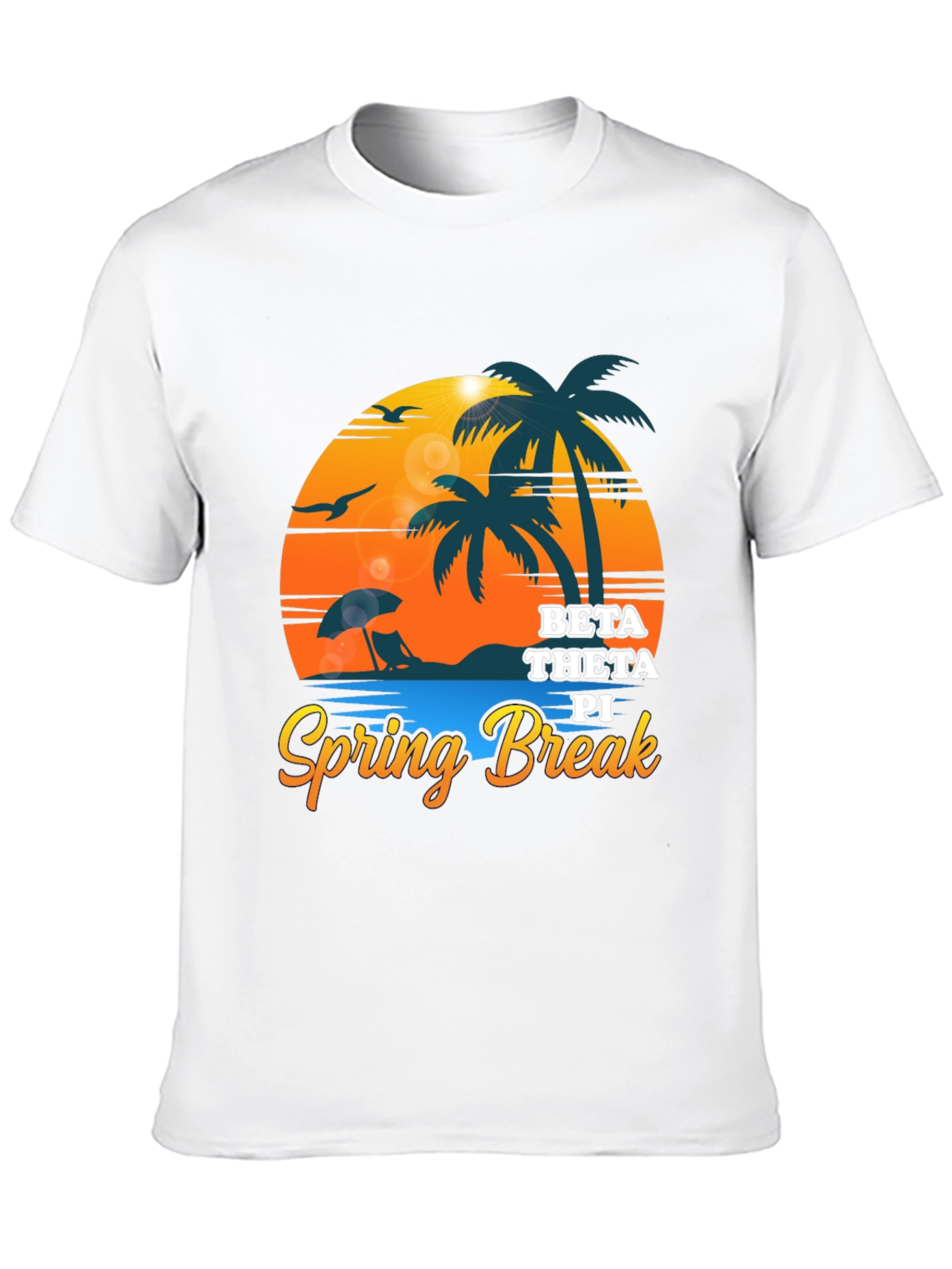 Beta Theta Pi Spring Break Black T-Shirt