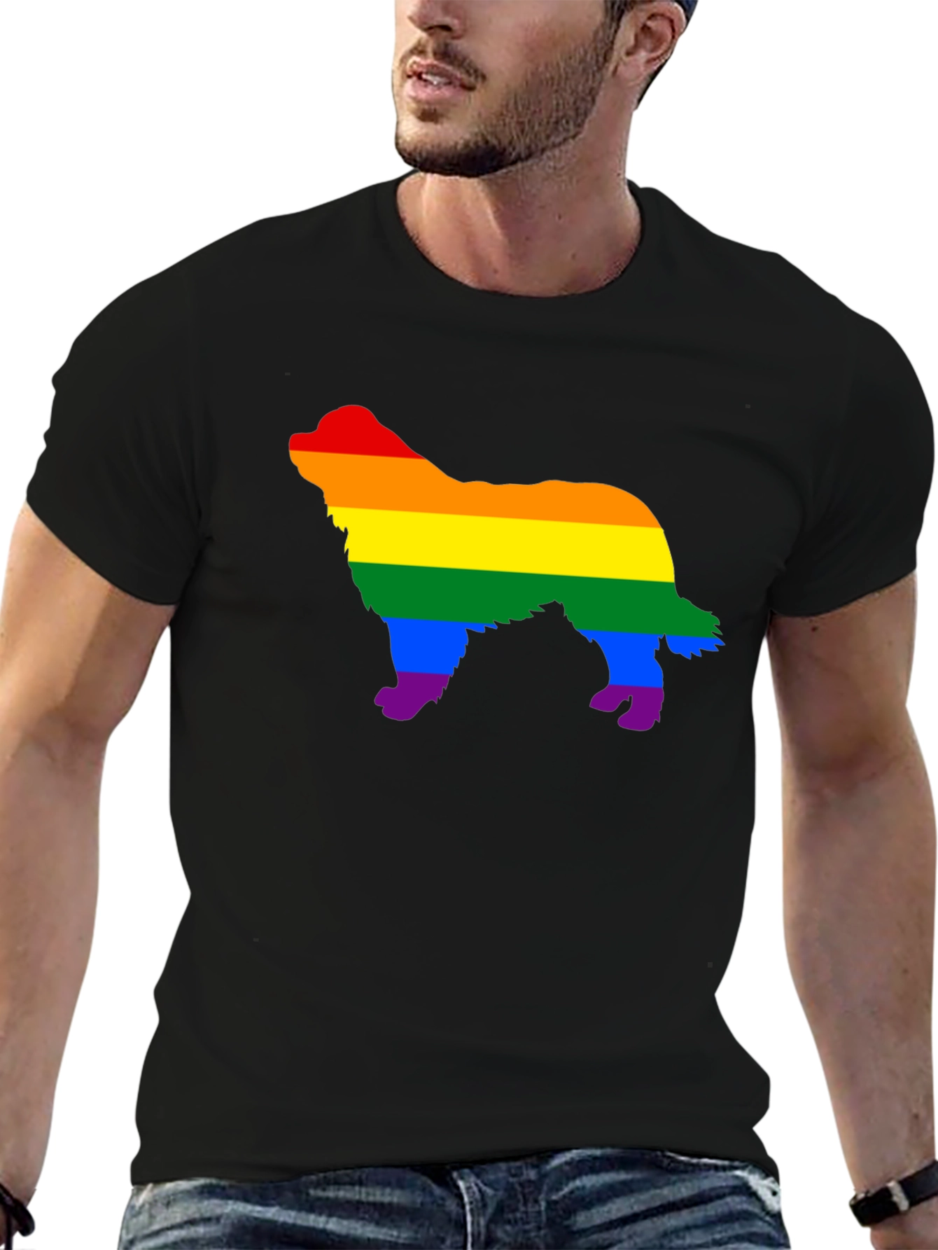 Rainbow Dog Silhouette Black T-Shirt