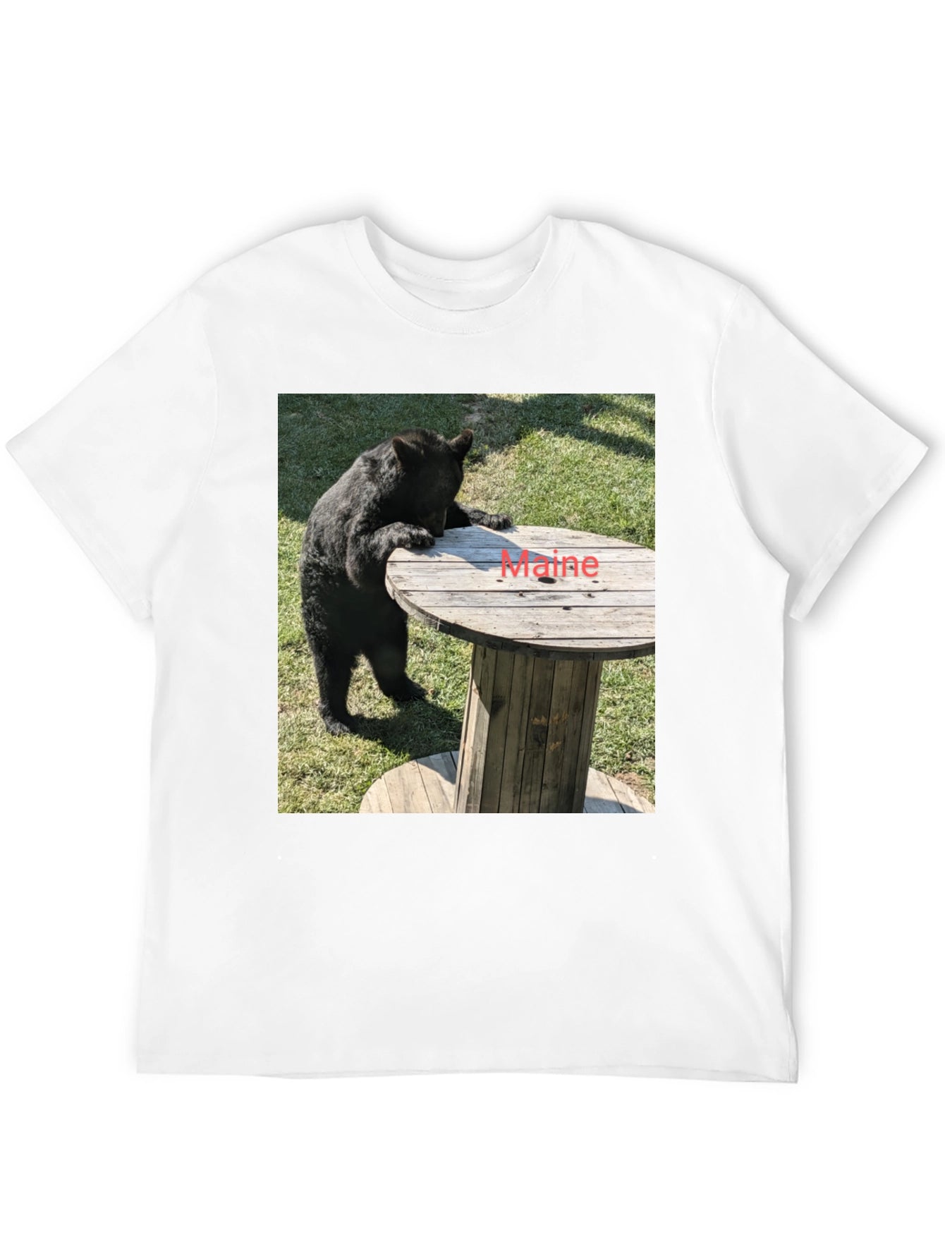 Bear & Maine Funny Graphic Tee