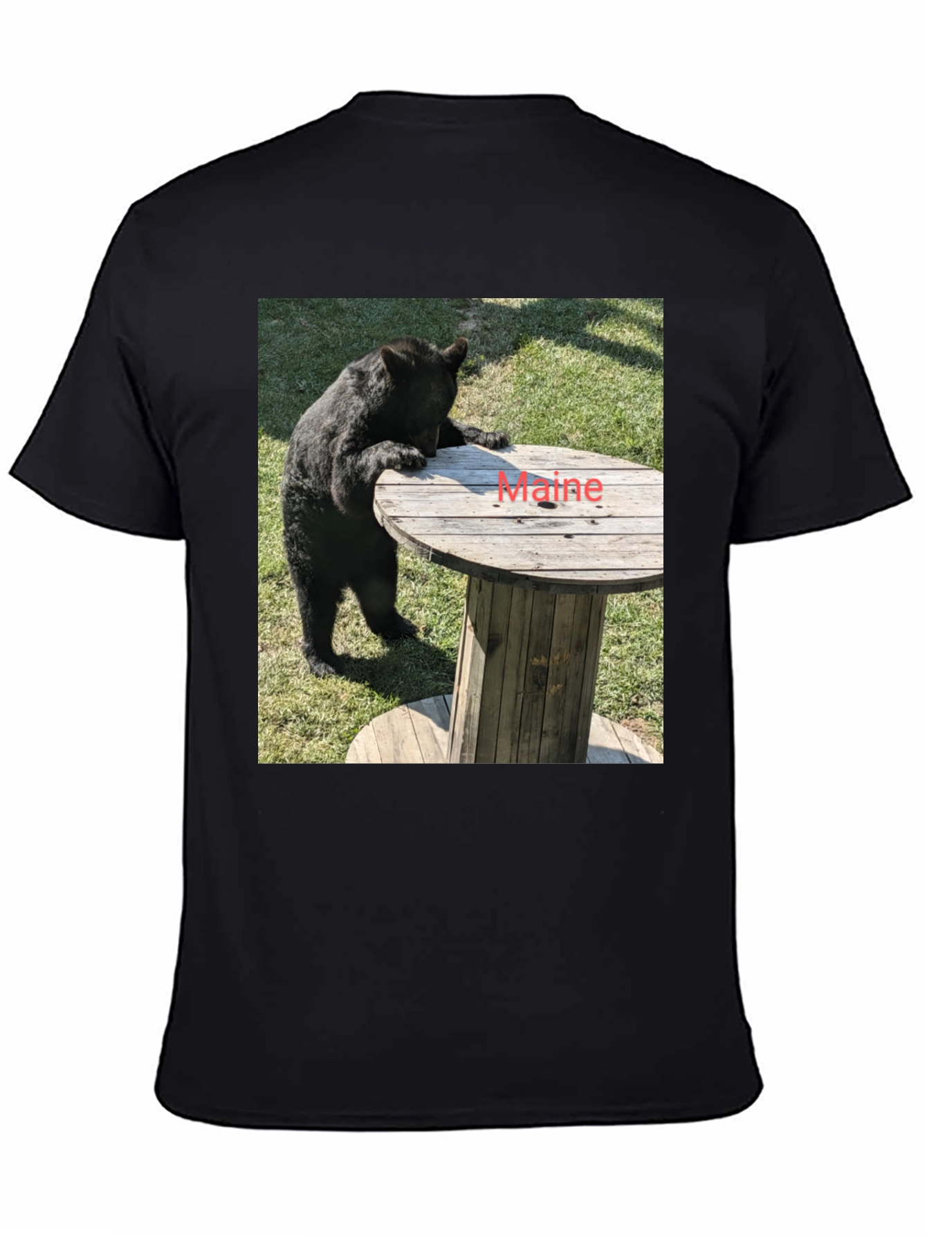 Bear & Maine Funny Graphic Tee