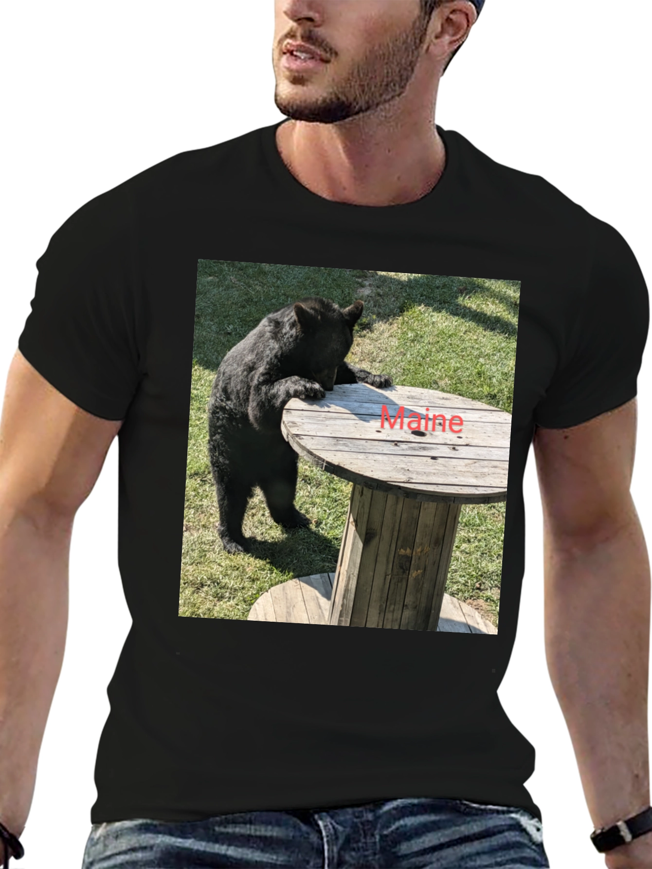 Bear & Maine Funny Graphic Tee