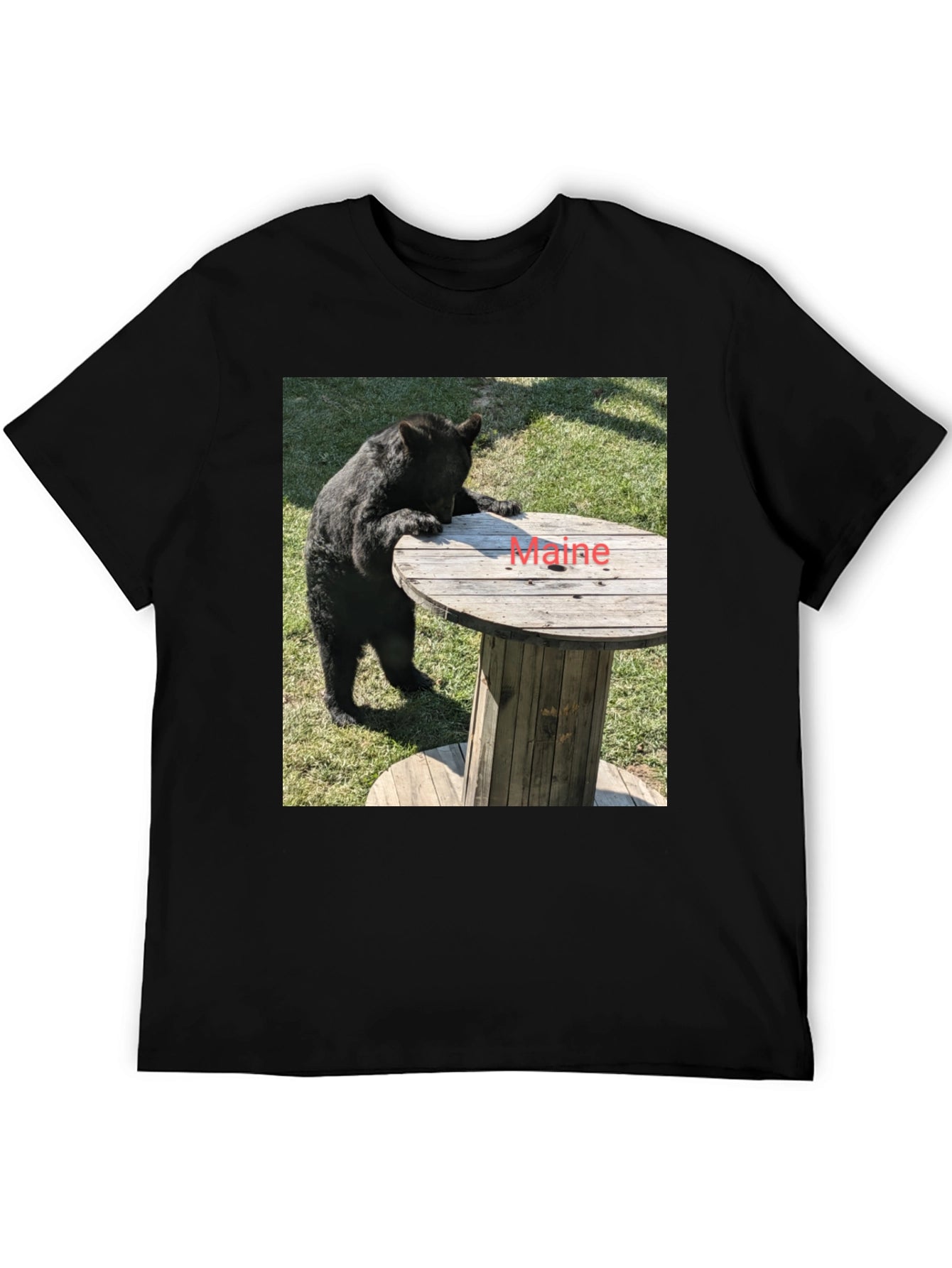 Bear & Maine Funny Graphic Tee
