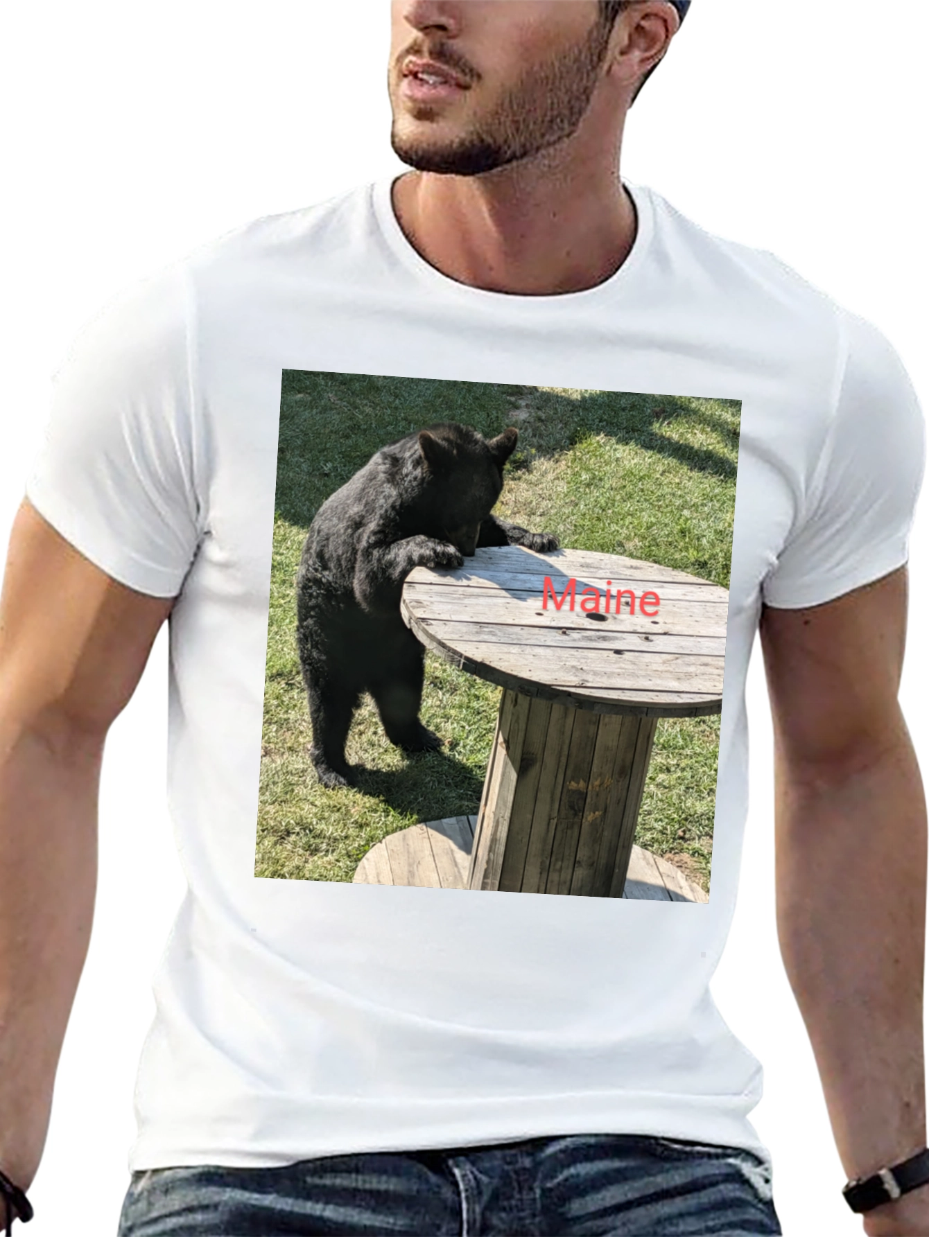 Bear & Maine Funny Graphic Tee