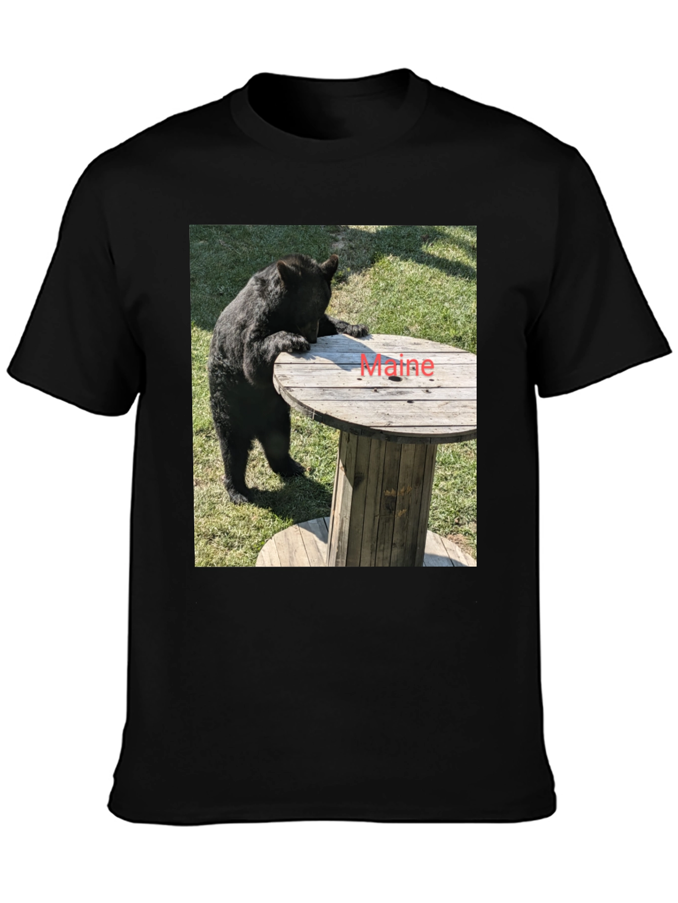 Bear & Maine Funny Graphic Tee