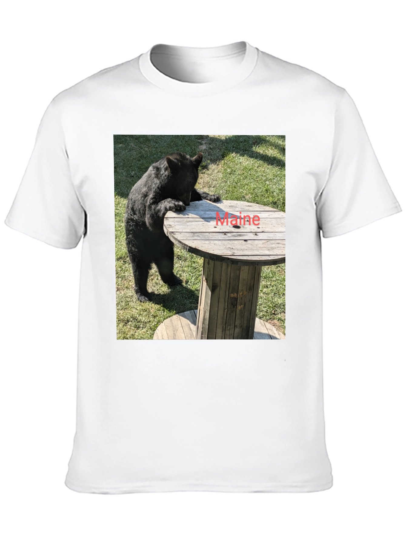 Bear & Maine Funny Graphic Tee