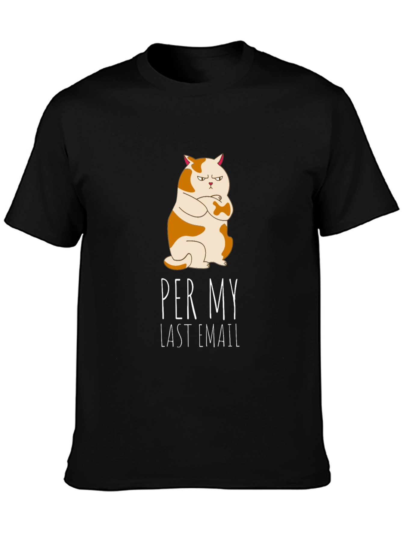 Per My Last Email Cat T-Shirt