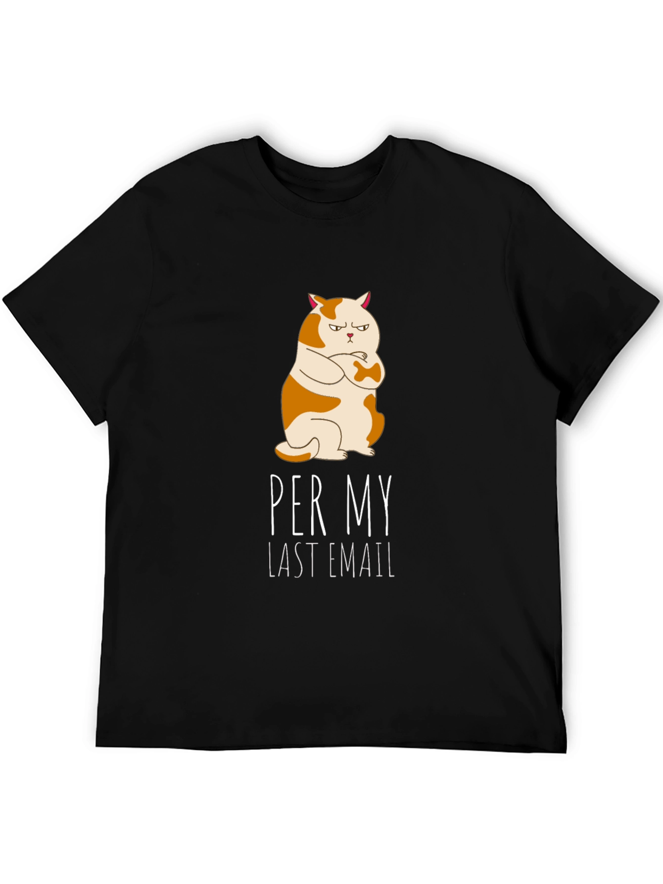 Per My Last Email Cat T-Shirt