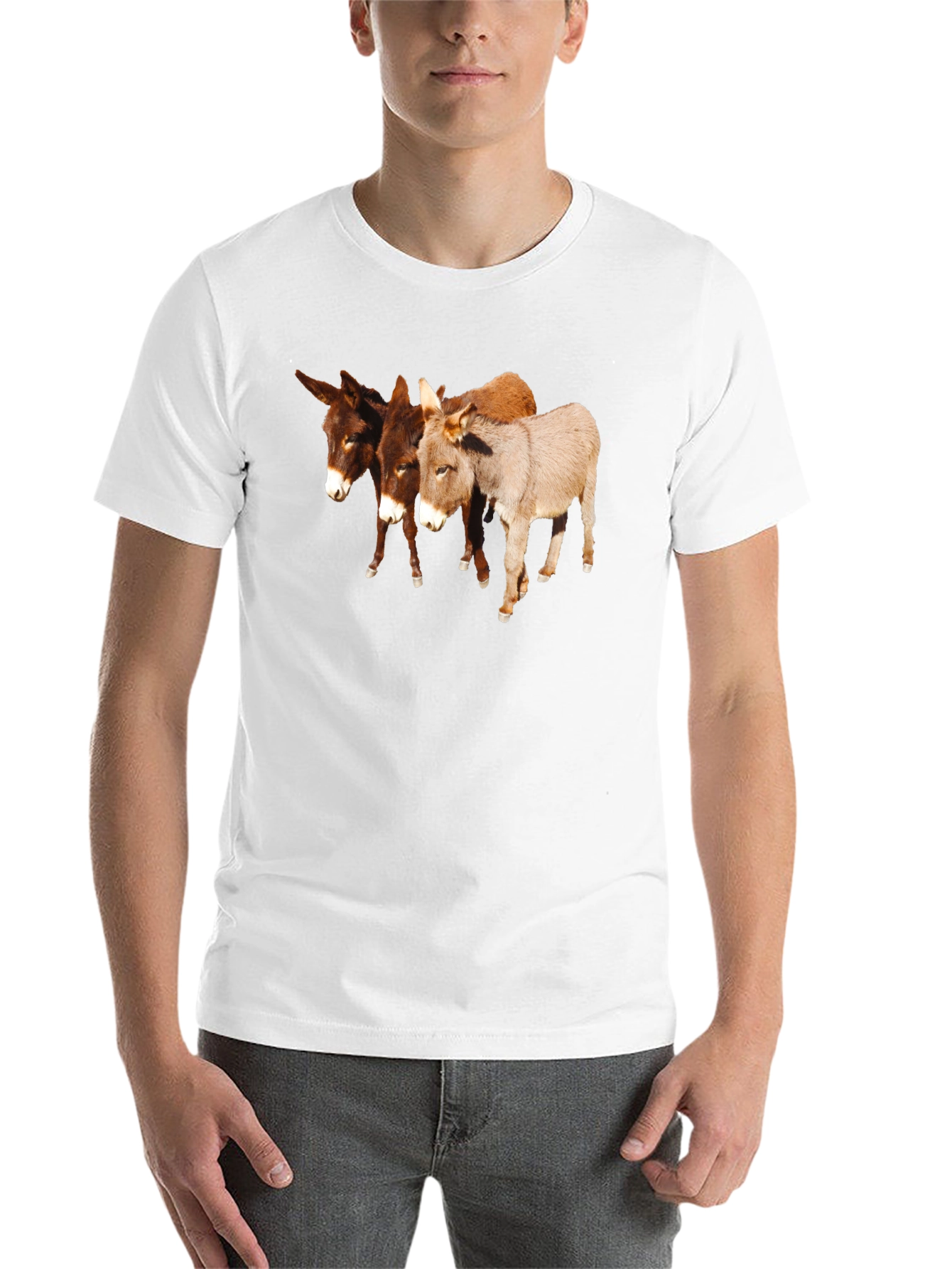 Novelty Donkey T-Shirt
