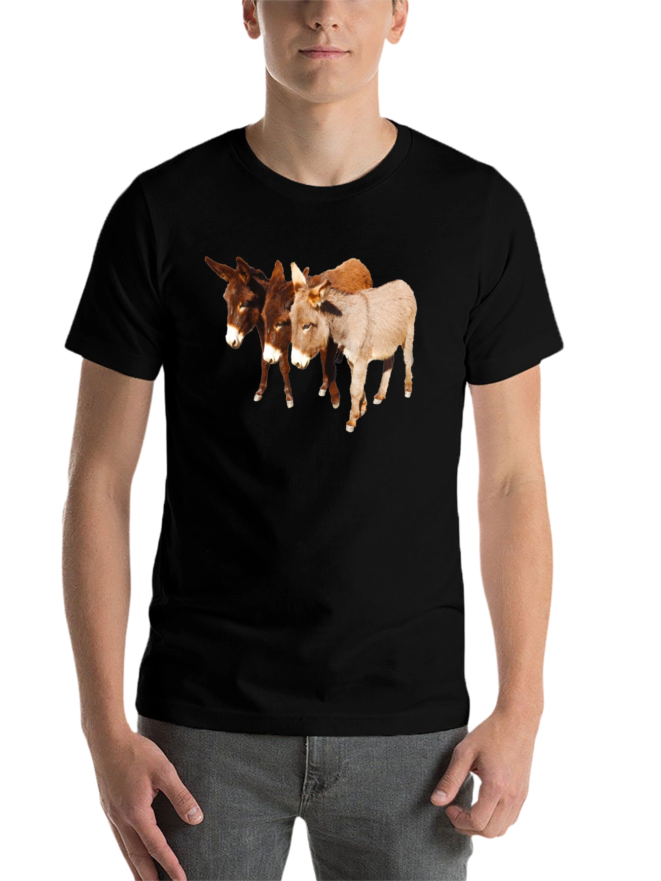 Novelty Donkey T-Shirt