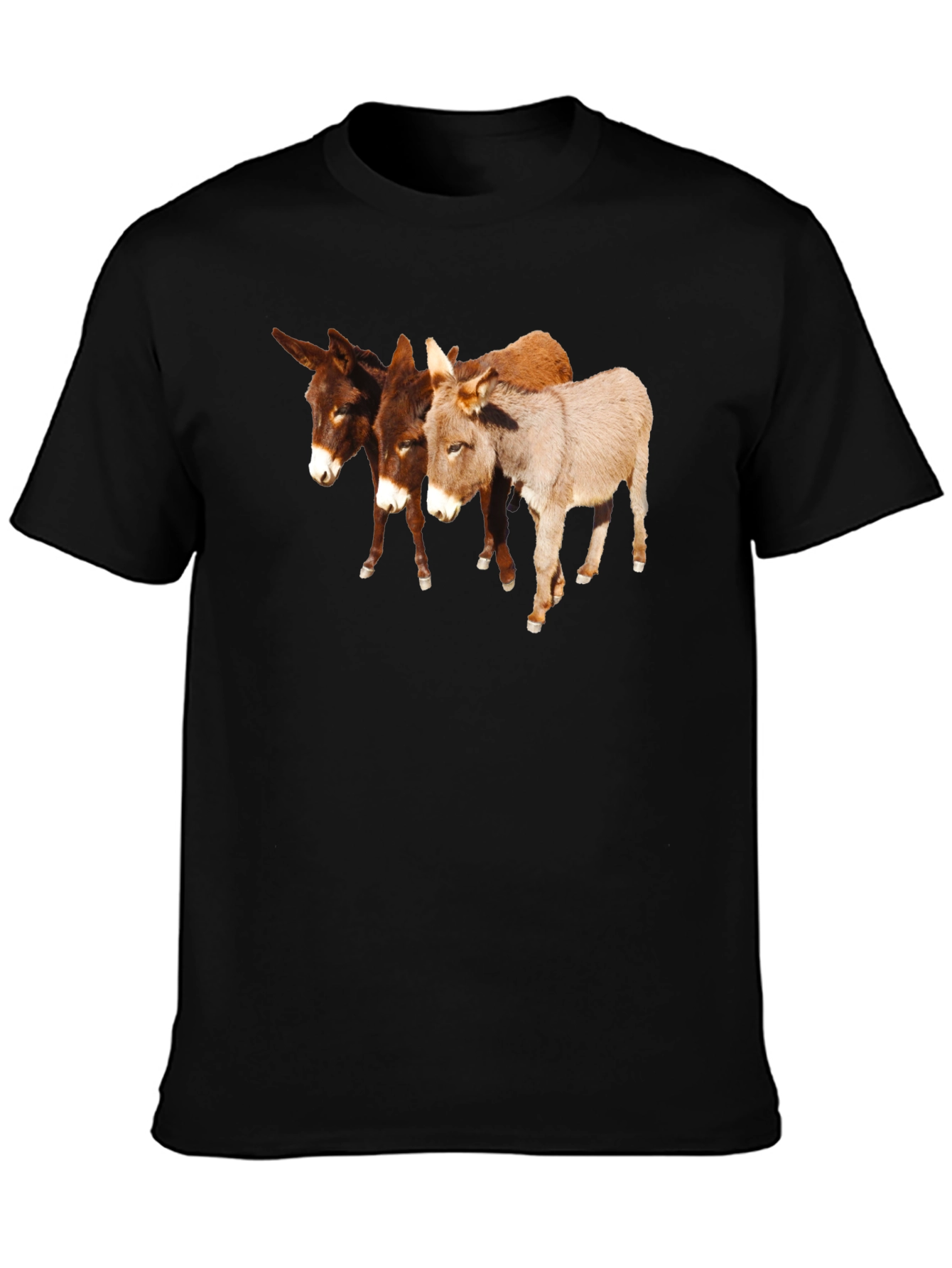 Novelty Donkey T-Shirt