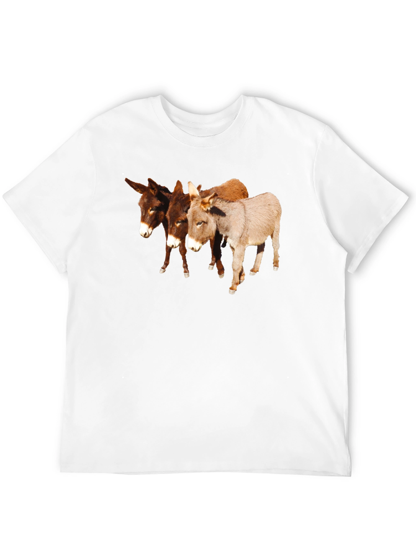 Novelty Donkey T-Shirt