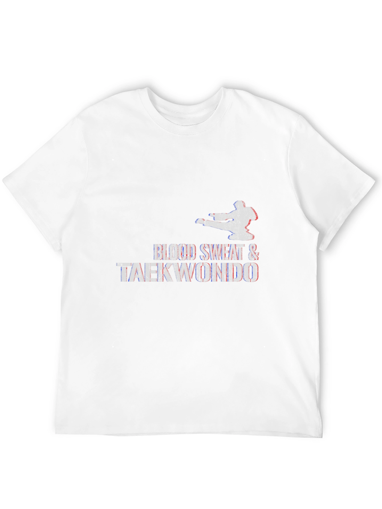 Blood Sweat & Tae Kwon Do Graphic T-Shirt