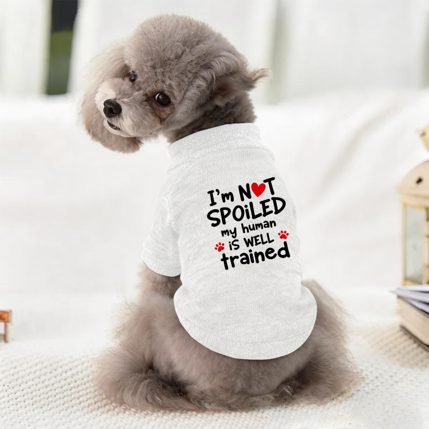 I¡¯m Not Spoiled My Human Is Well Trained Funny White Pet Sweater