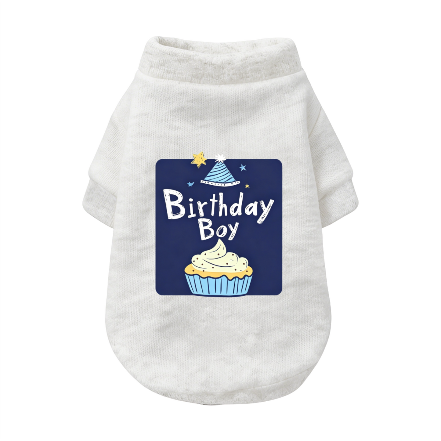 Birthday Boy Cupcake Party Pet Outfit Sweater