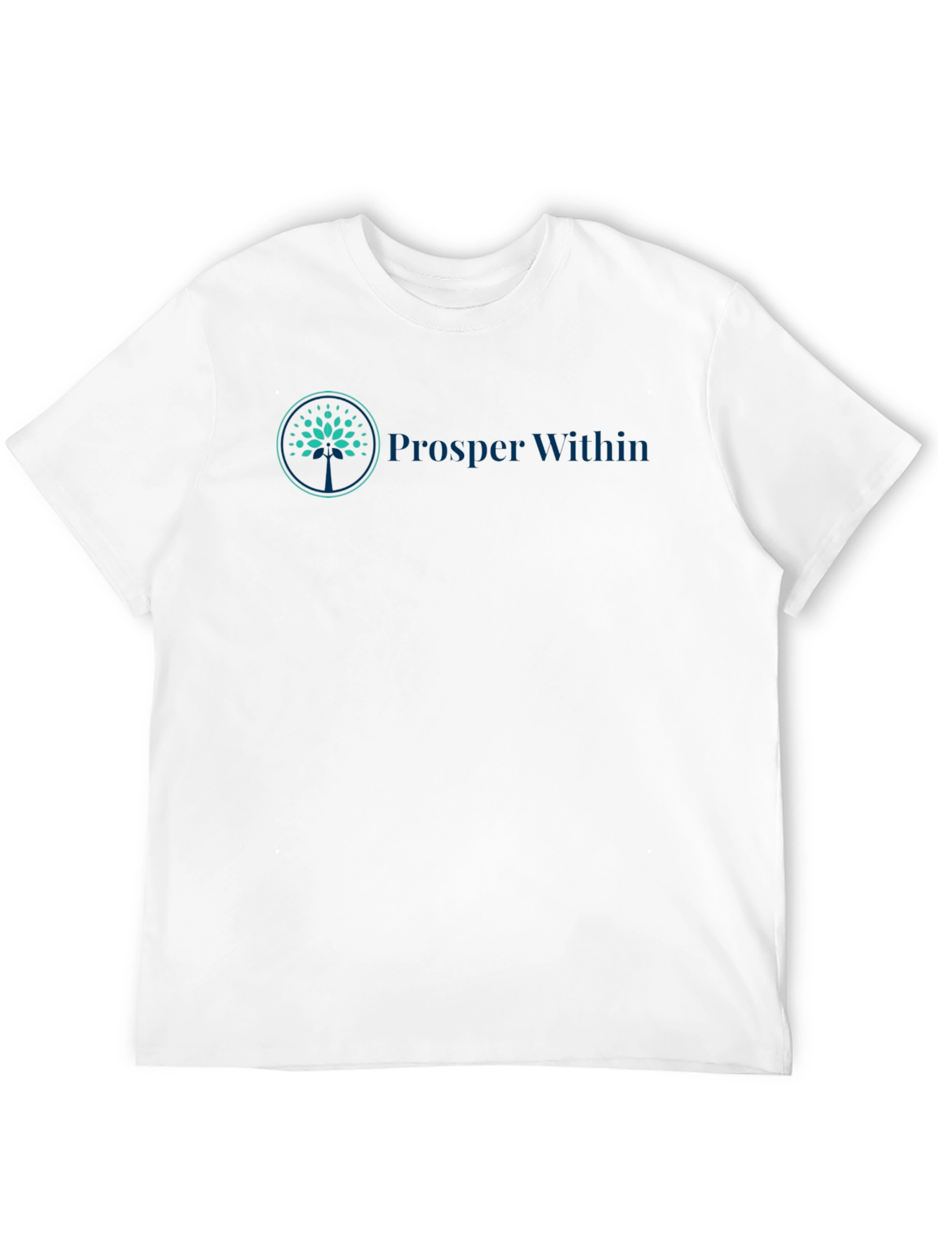 Prosper Within Black Tee - Grow Your Mindset