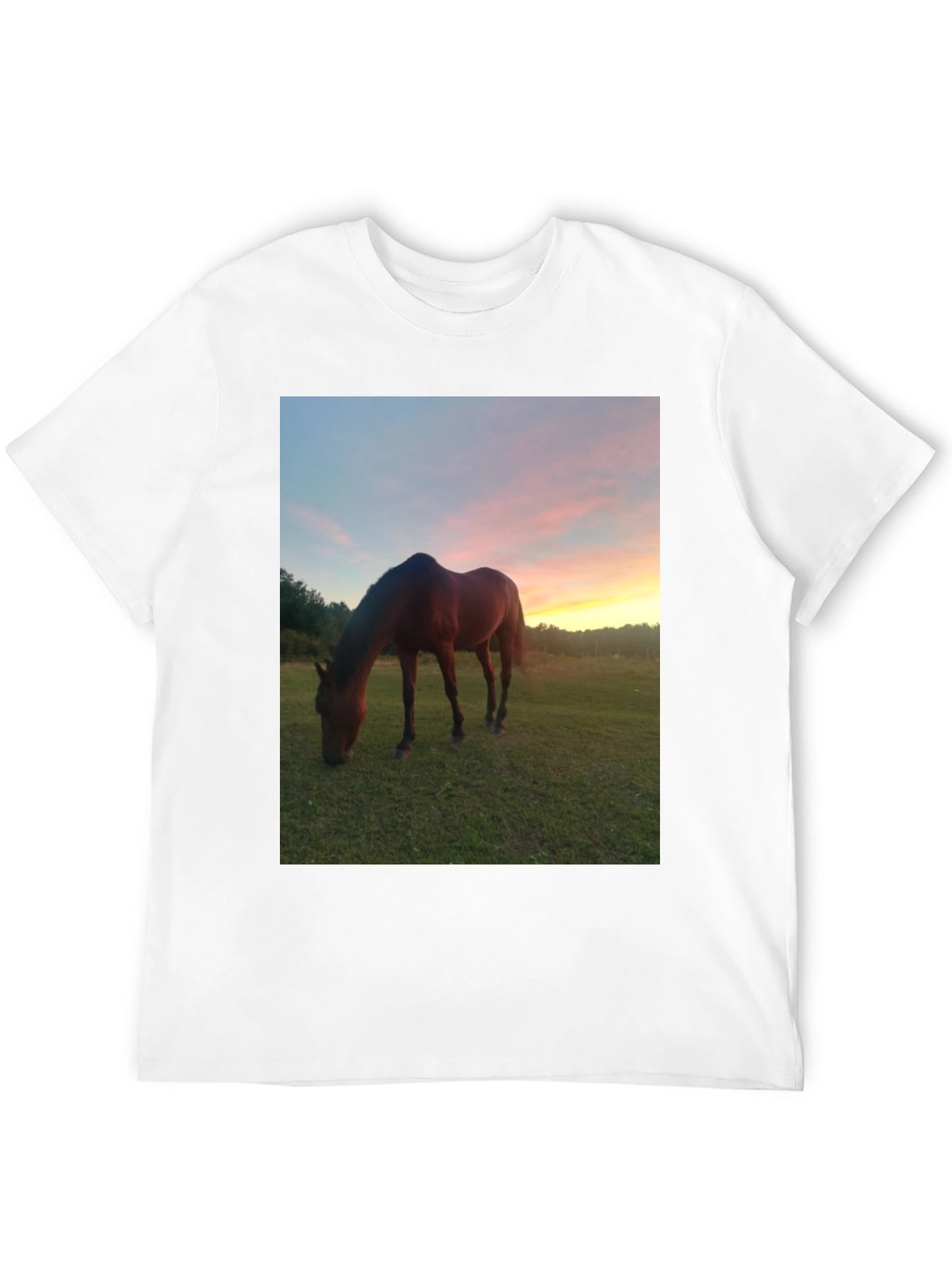 Horse Sunset Graphic Tee - Nature Lover Shirt