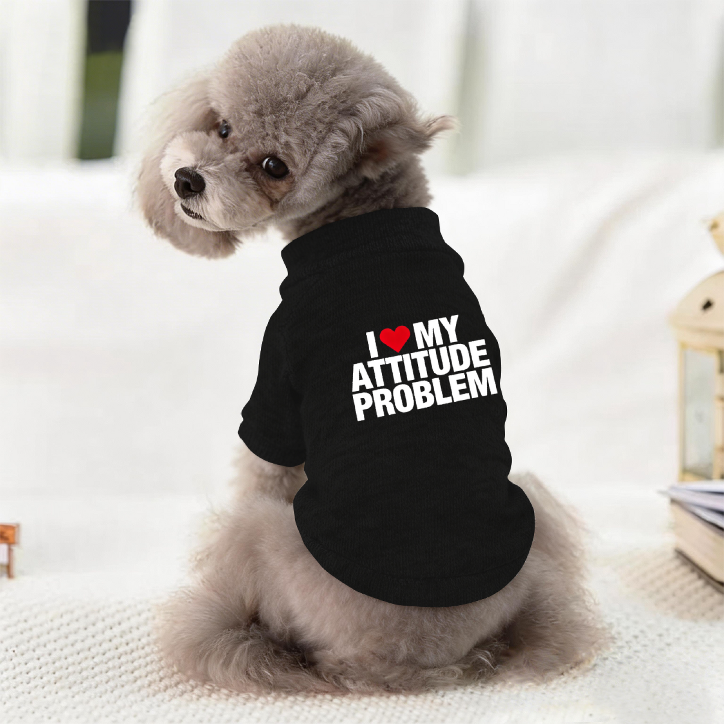 I Love My Attitude Problem Cool Black Pet Statement Sweater