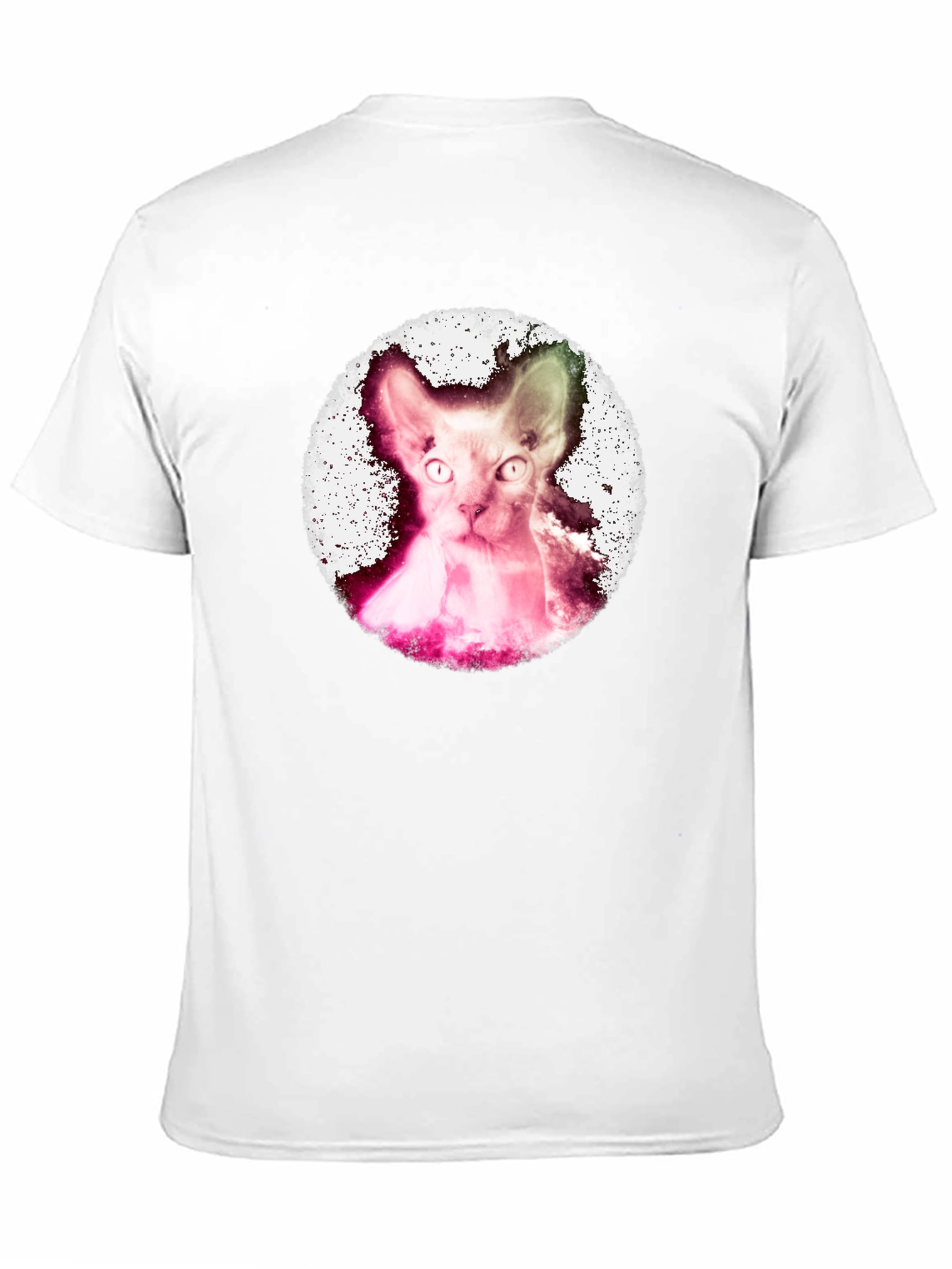Sphynx Cat Graphic Tee - Unique Design