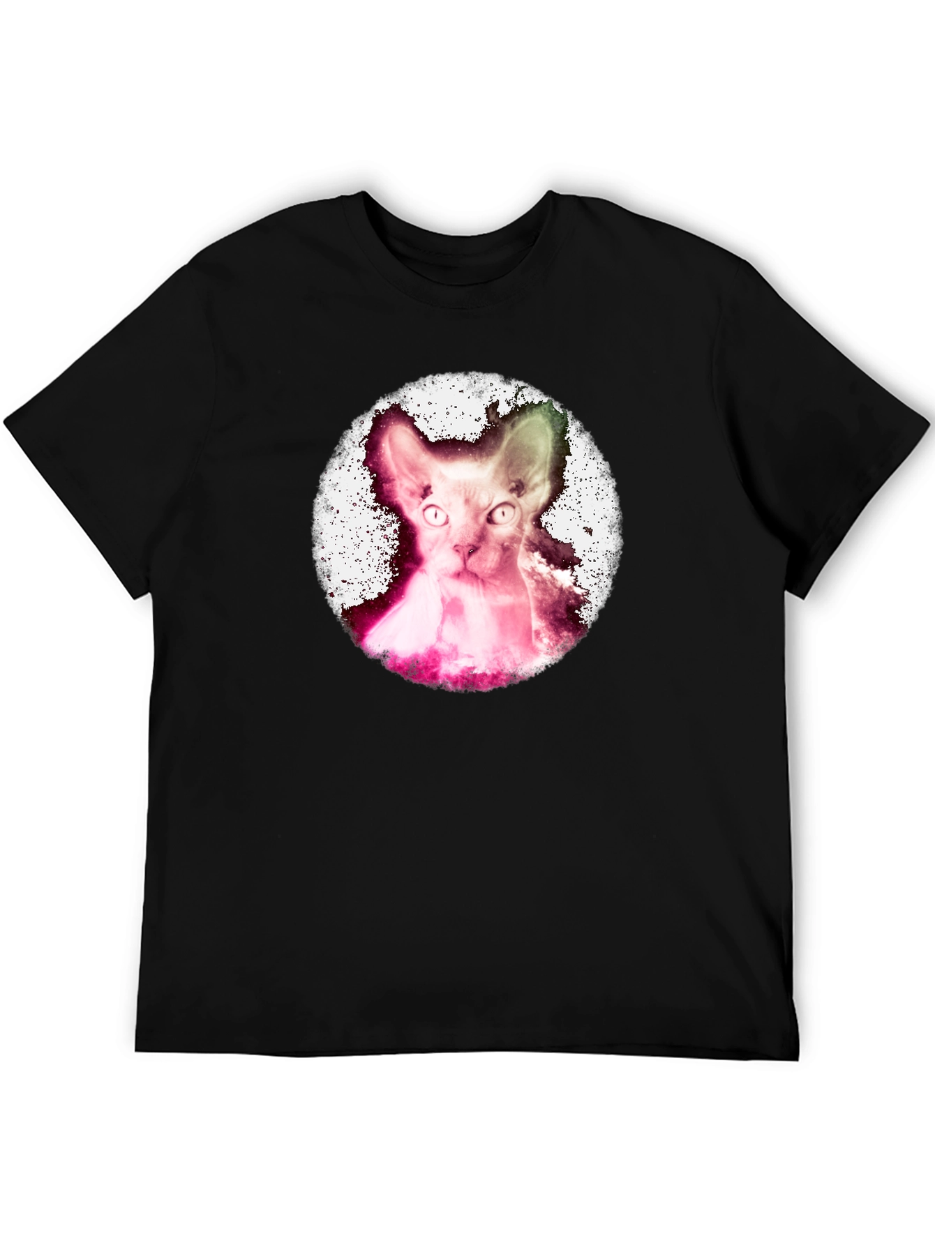 Sphynx Cat Graphic Tee - Unique Design