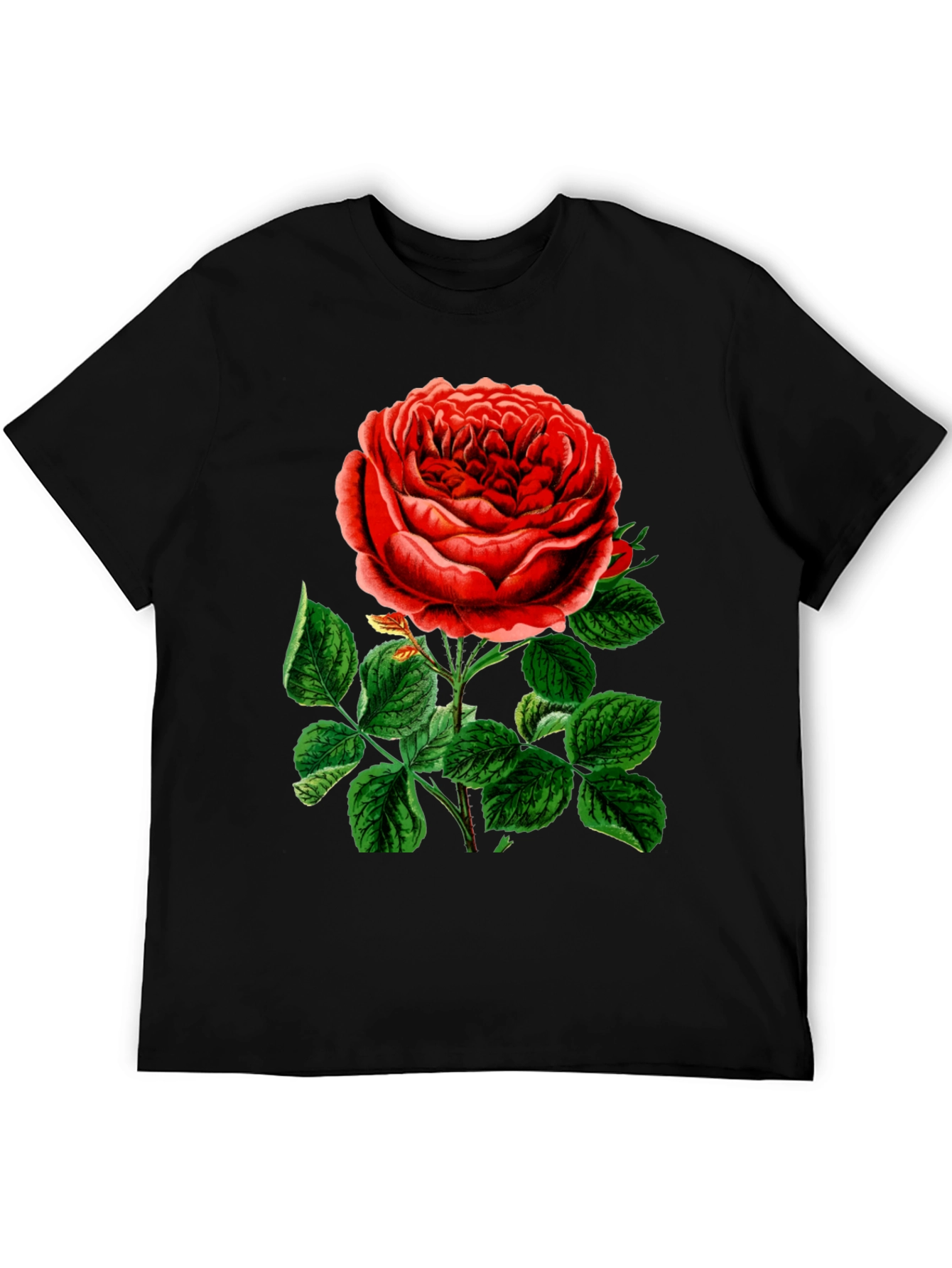 Elegant Rose Graphic T-Shirt - Botanical Style
