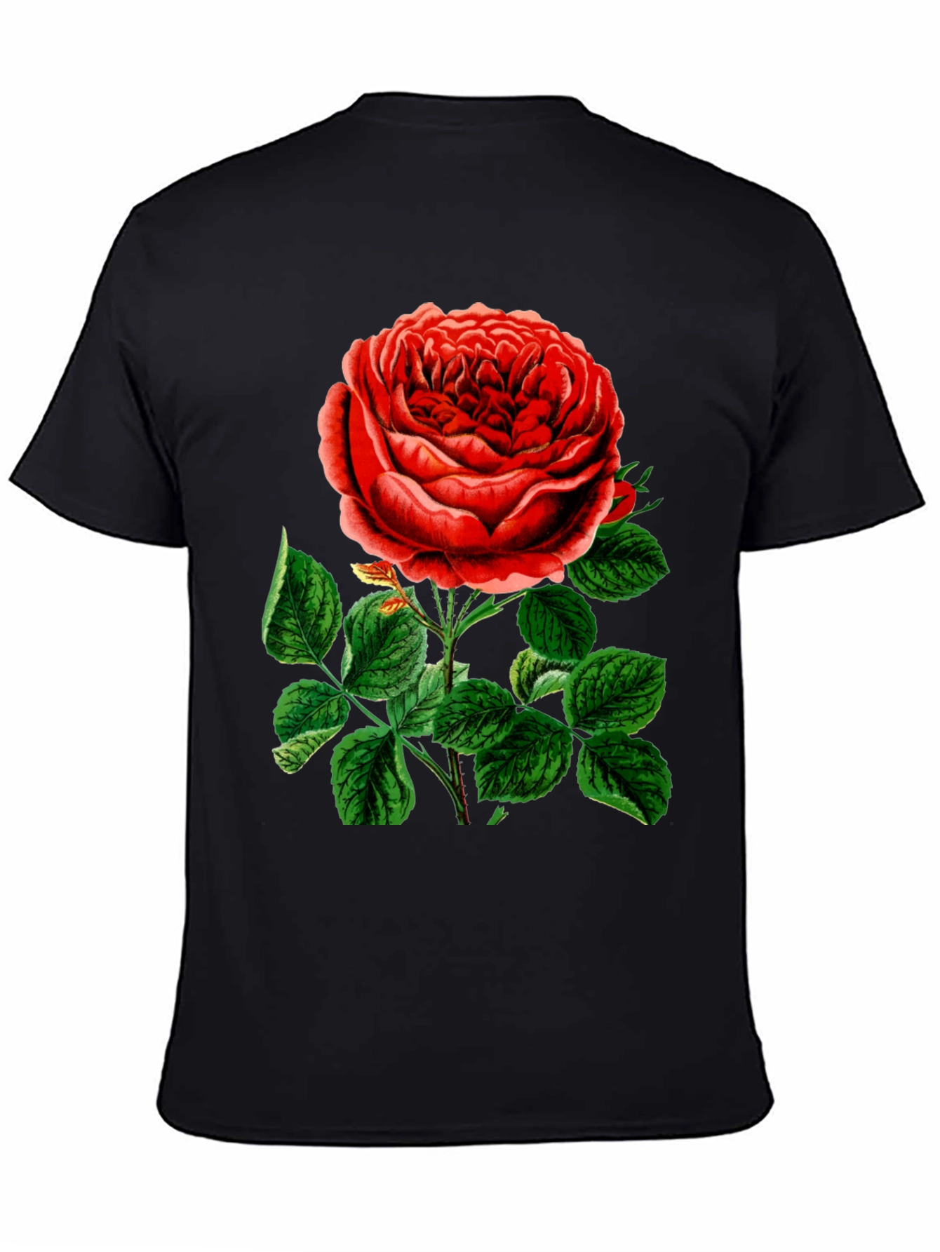 Elegant Rose Graphic T-Shirt - Botanical Style