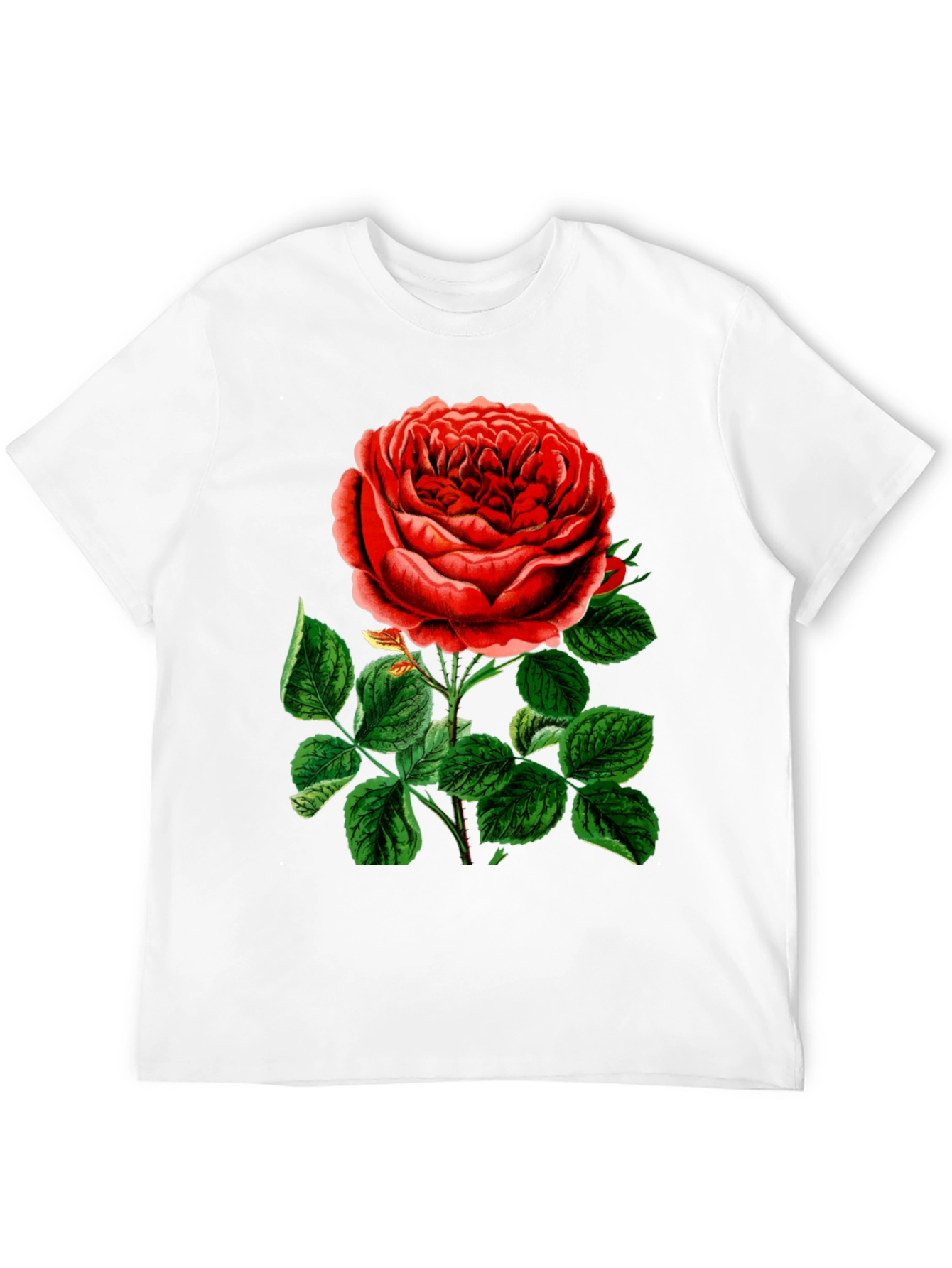 Elegant Rose Graphic T-Shirt - Botanical Style