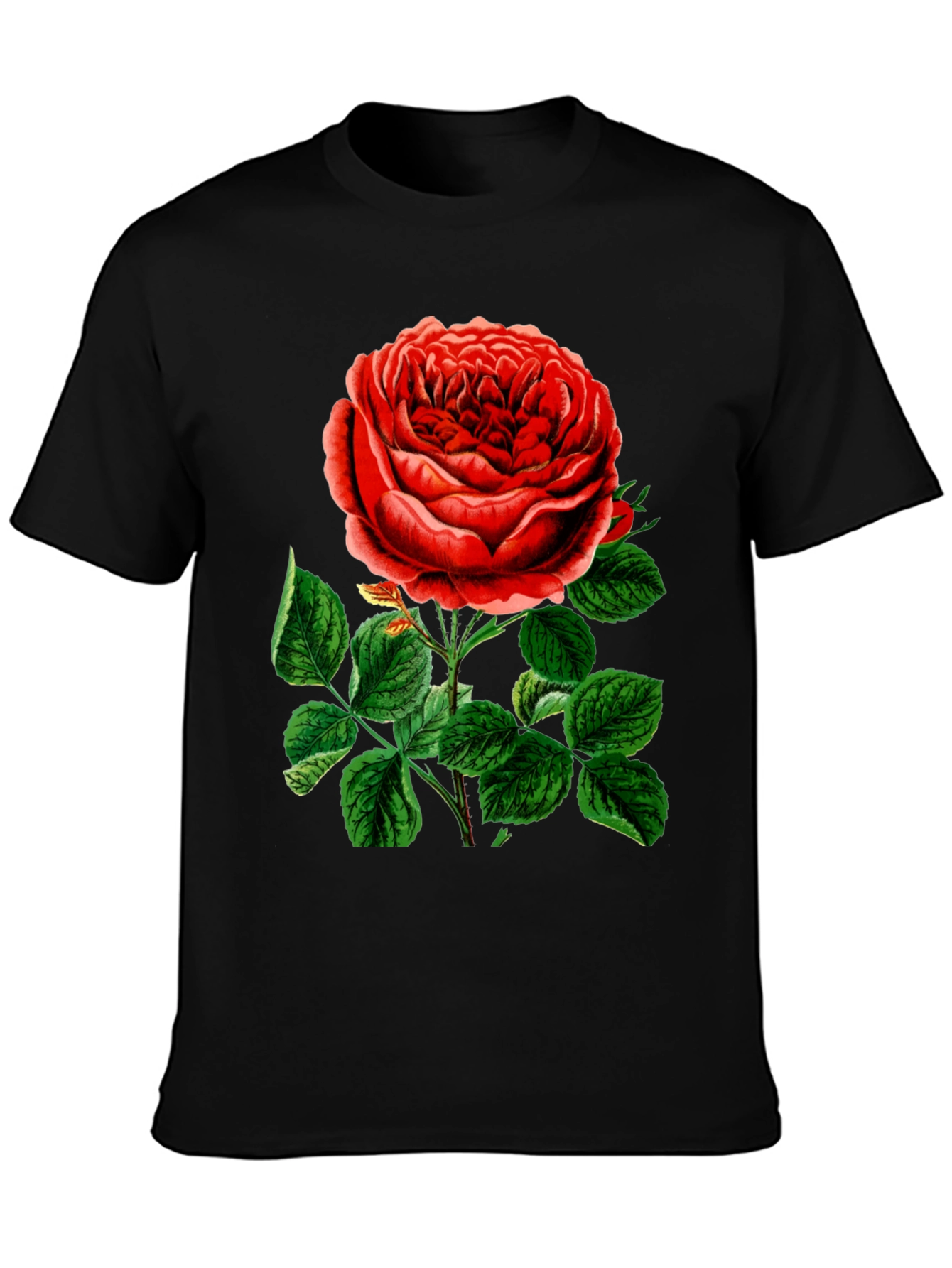 Elegant Rose Graphic T-Shirt - Botanical Style