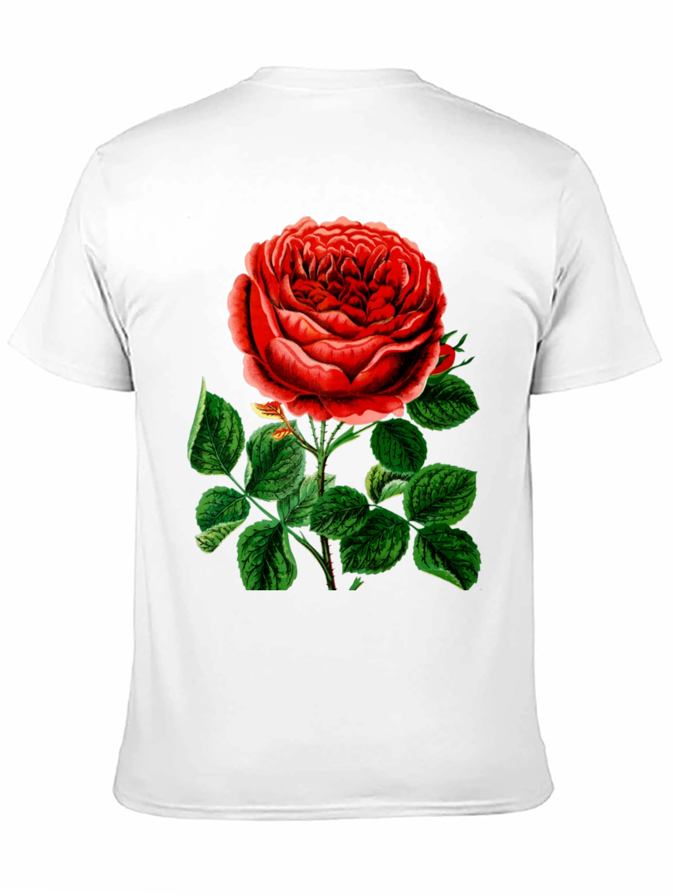 Elegant Rose Graphic T-Shirt - Botanical Style
