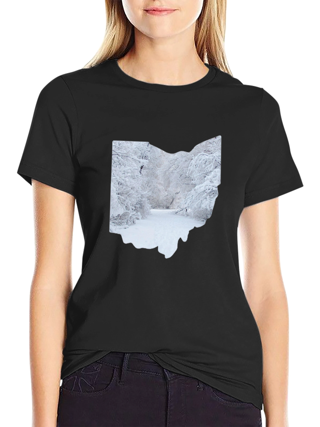 Ohio Winter Scene Graphic Tee