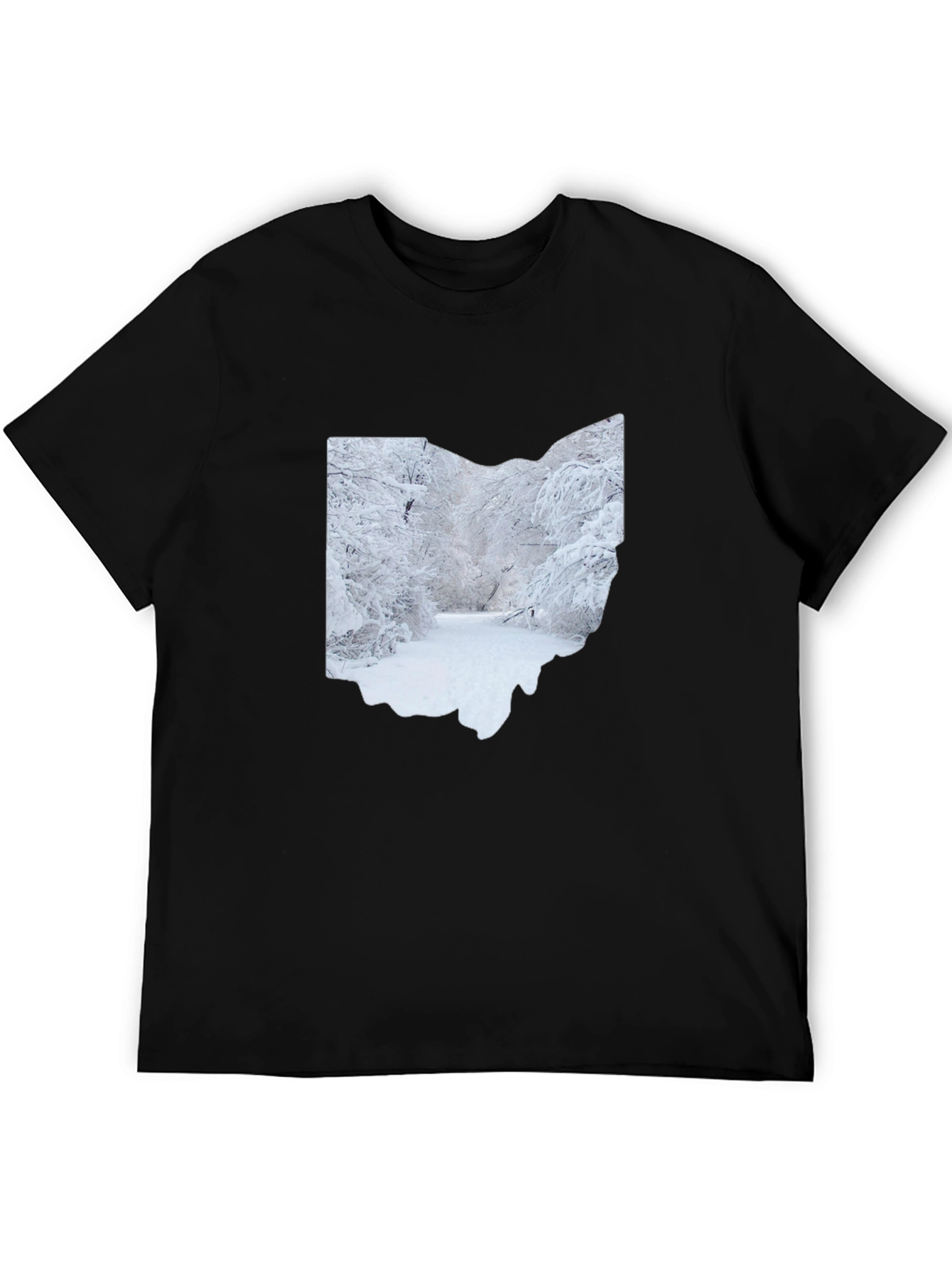 Ohio Winter Scene Graphic Tee