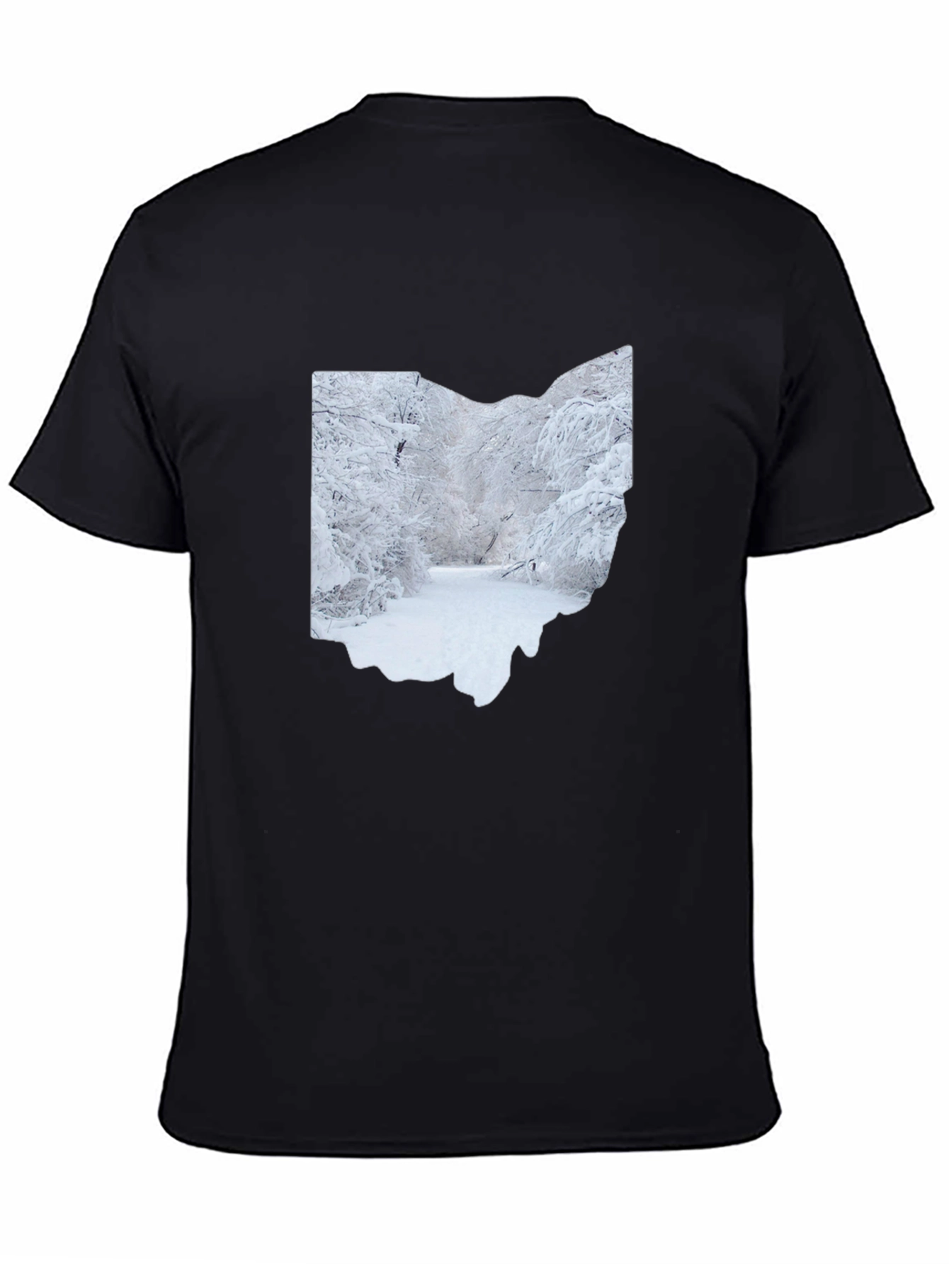 Ohio Winter Scene Graphic Tee