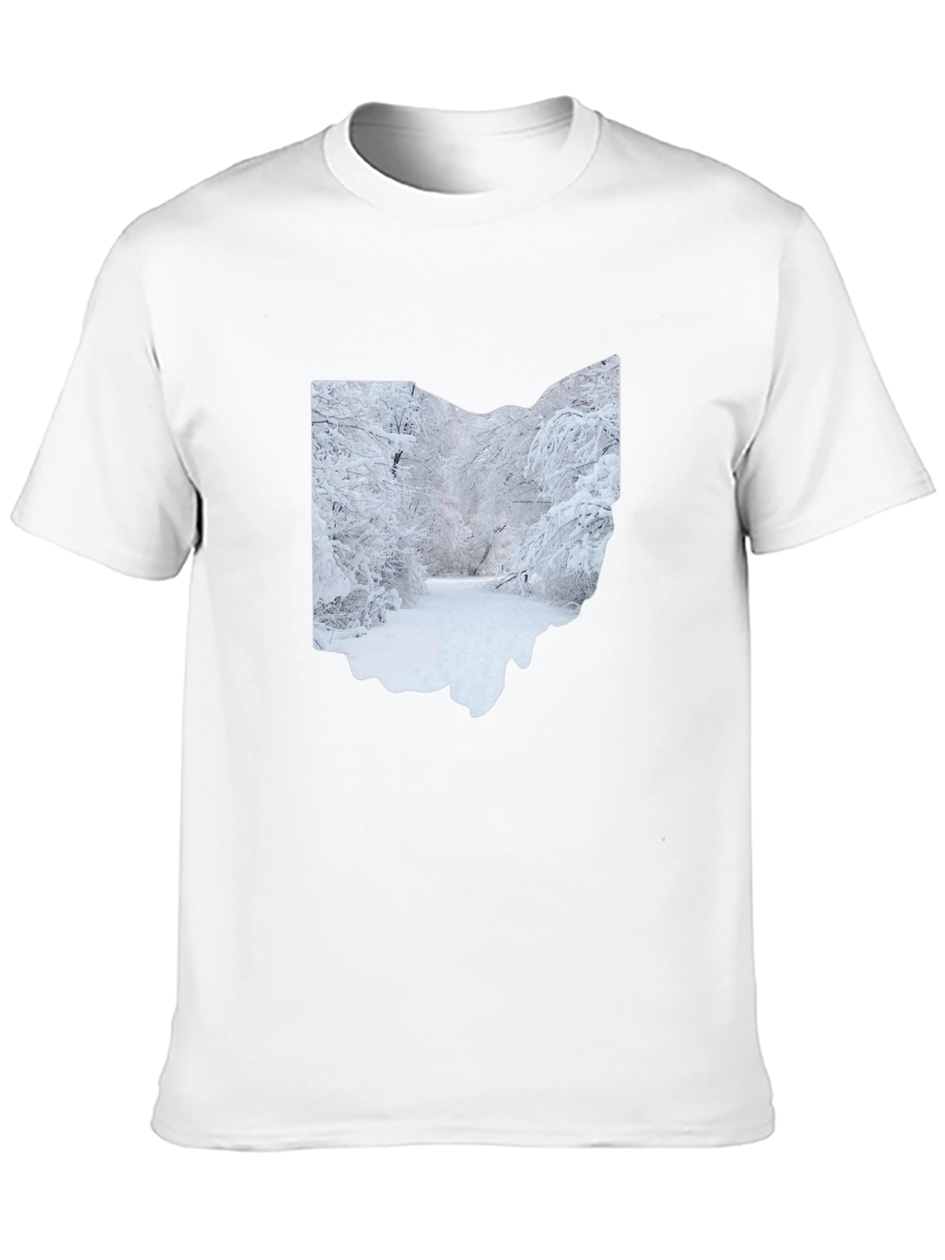 Ohio Winter Scene Graphic Tee
