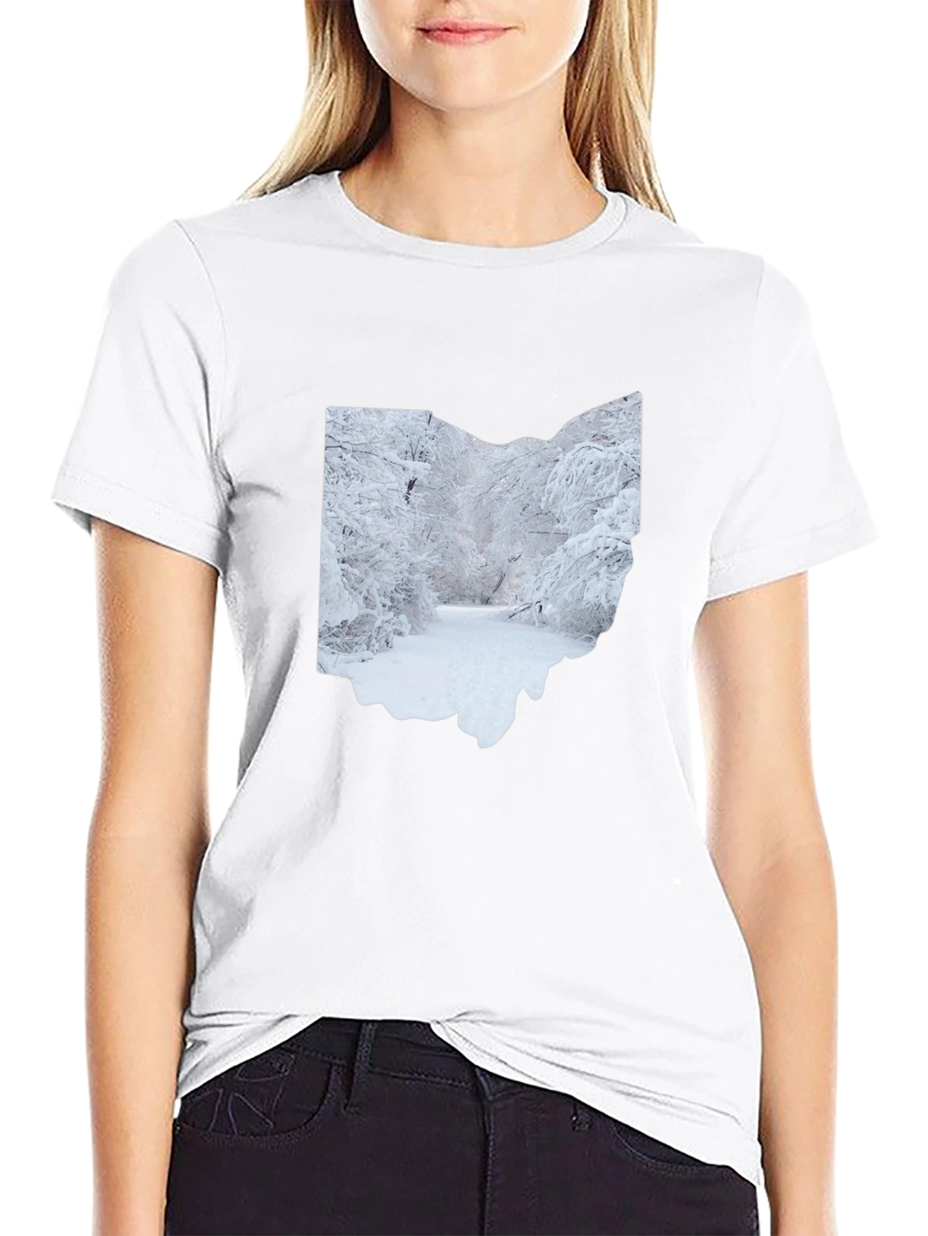 Ohio Winter Scene Graphic Tee