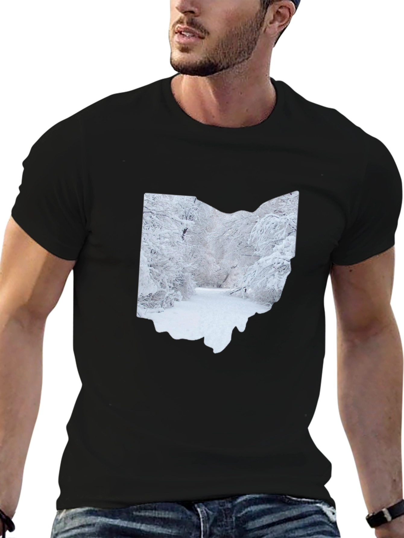 Ohio Winter Scene Graphic Tee