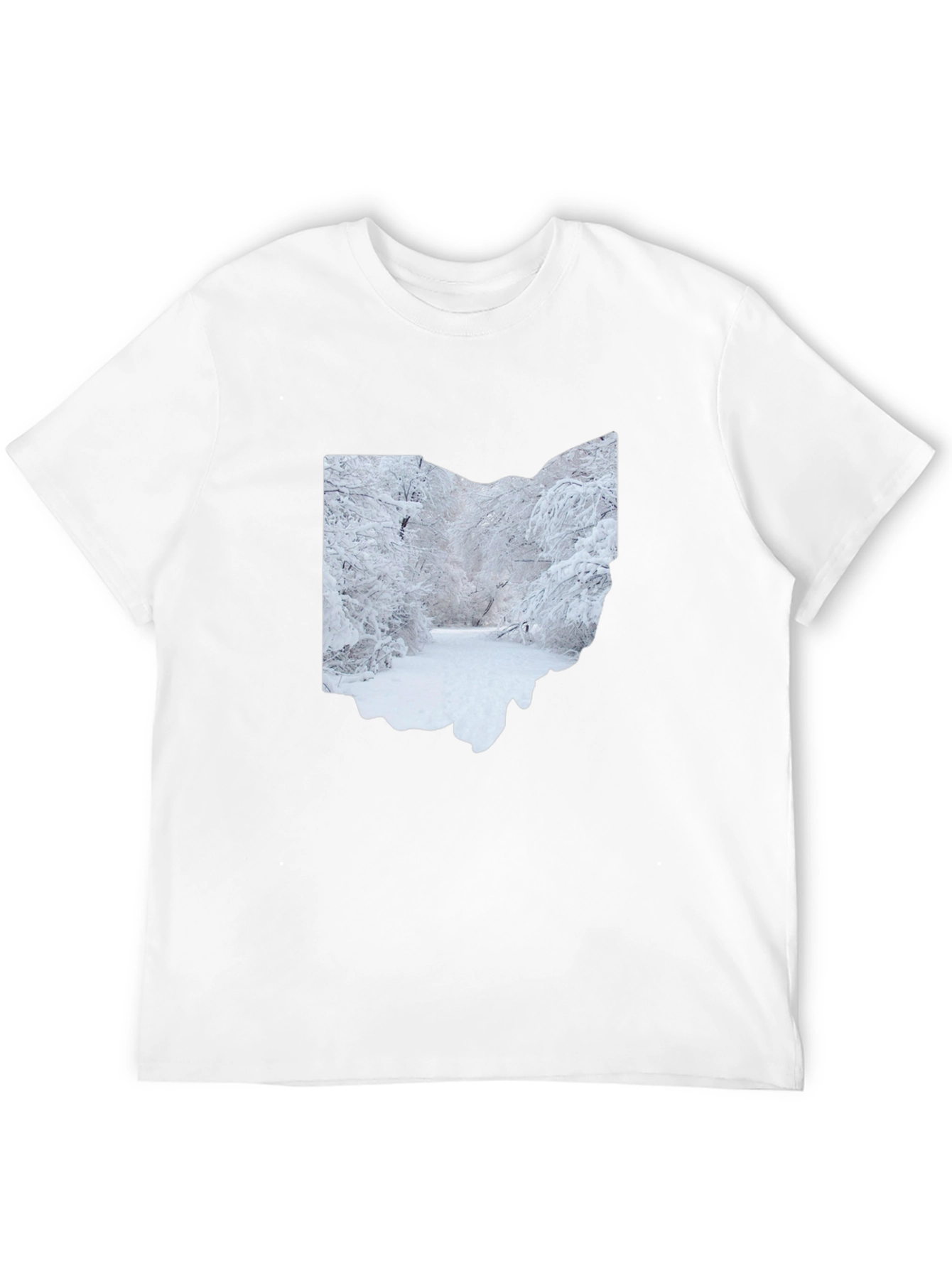 Ohio Winter Scene Graphic Tee