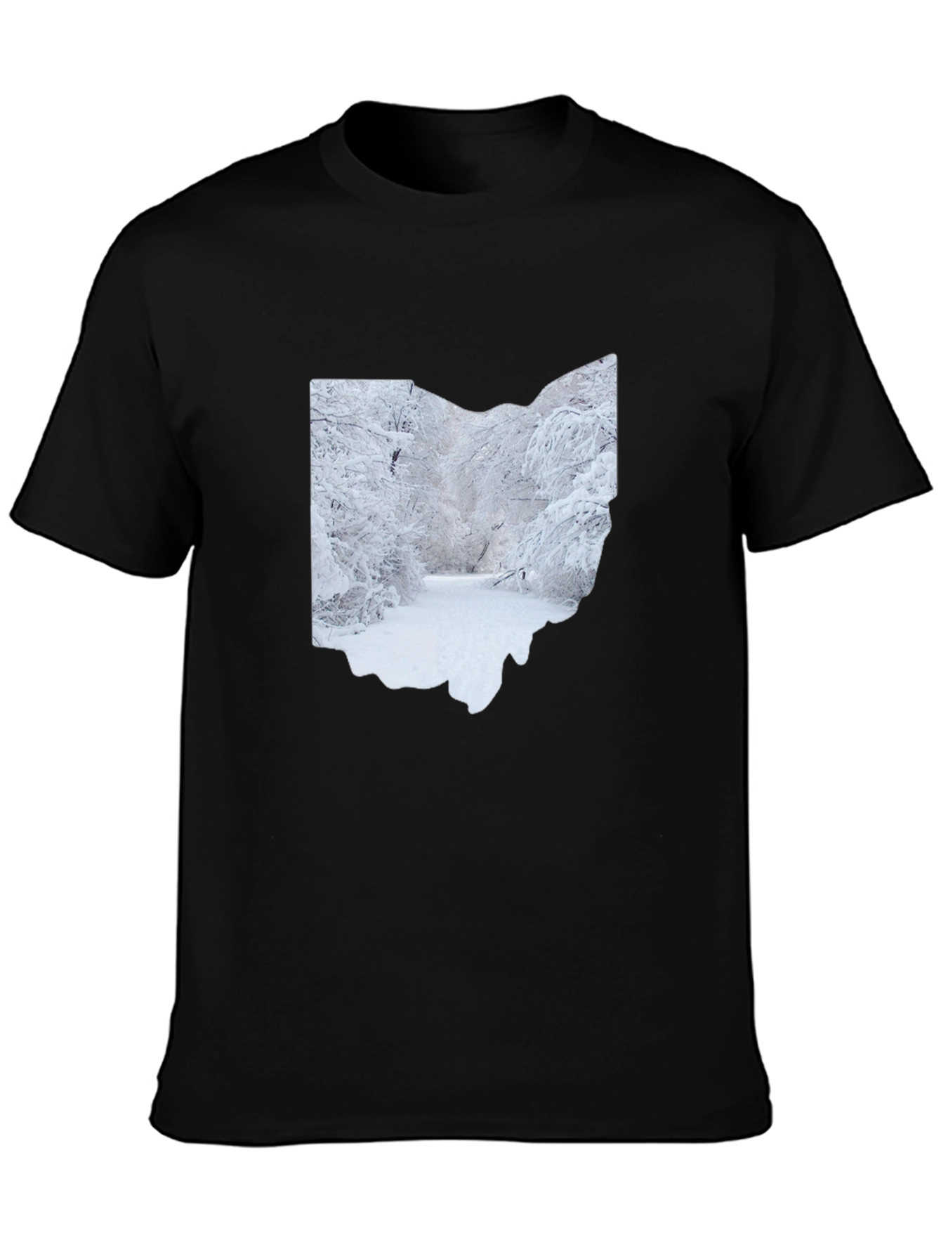 Ohio Winter Scene Graphic Tee