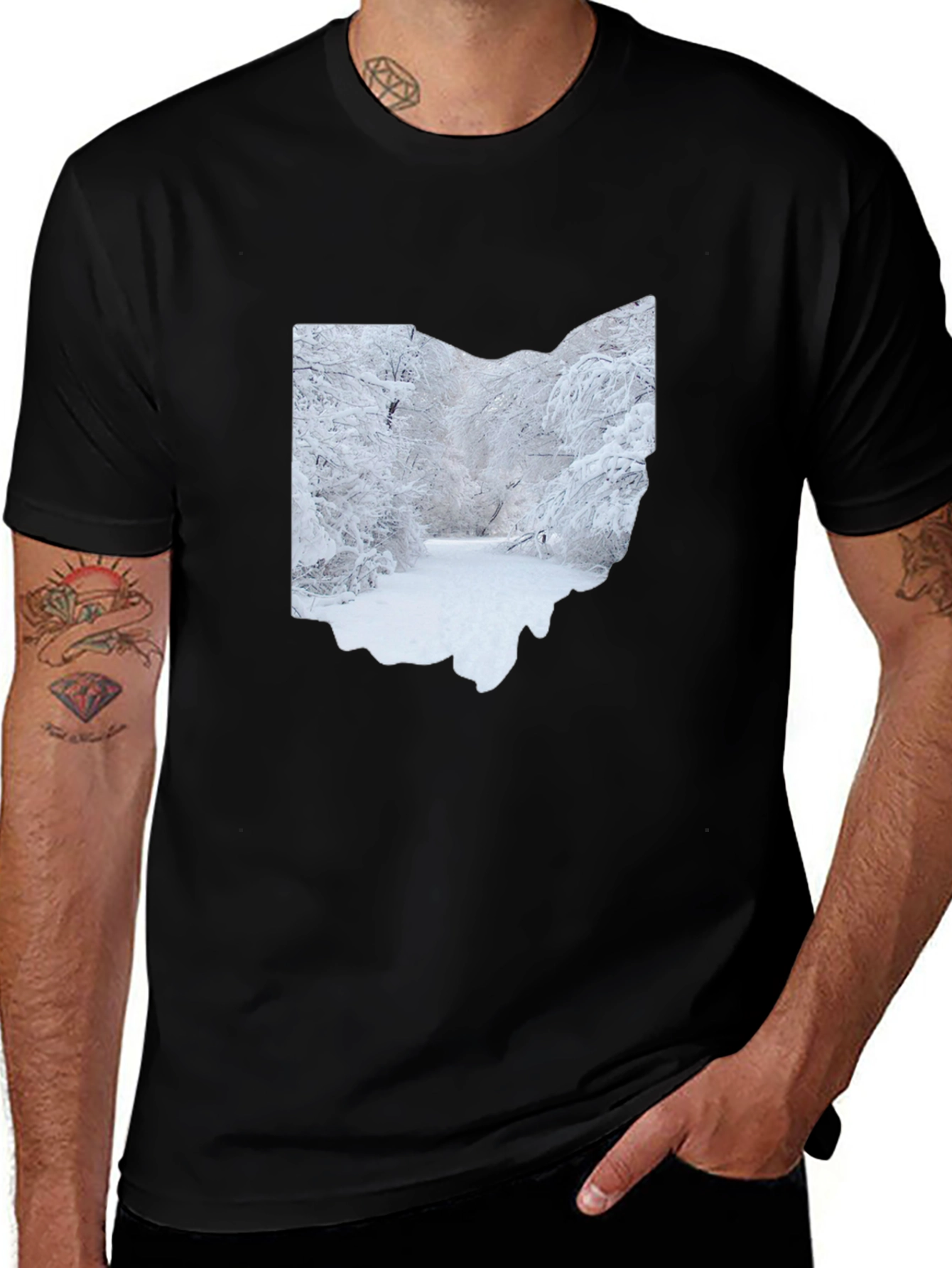 Ohio Winter Scene Graphic Tee