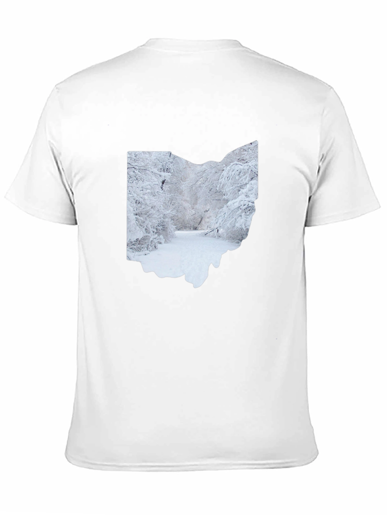 Ohio Winter Scene Graphic Tee