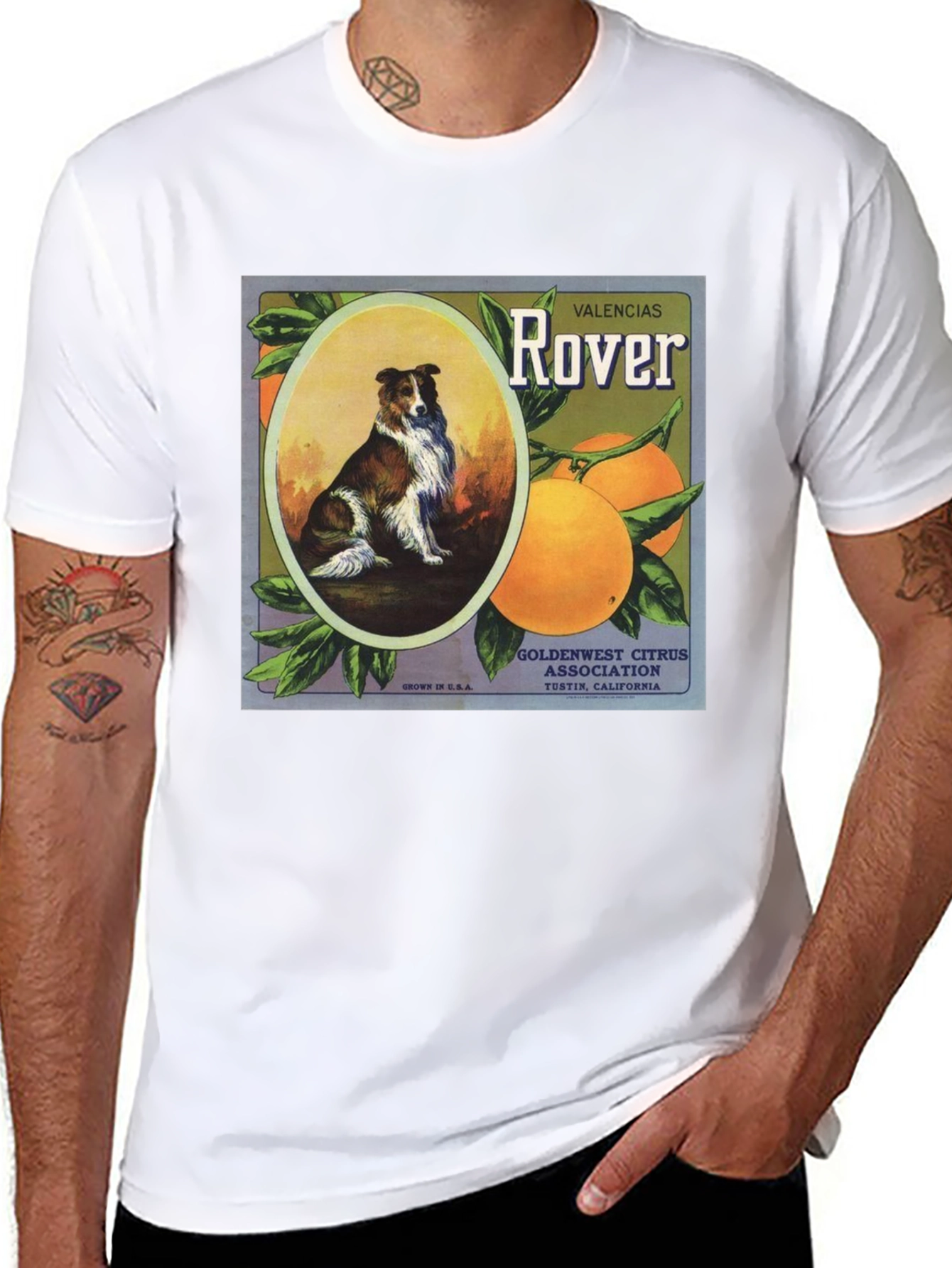Dog & Orange Valencias Rover Graphic Tee