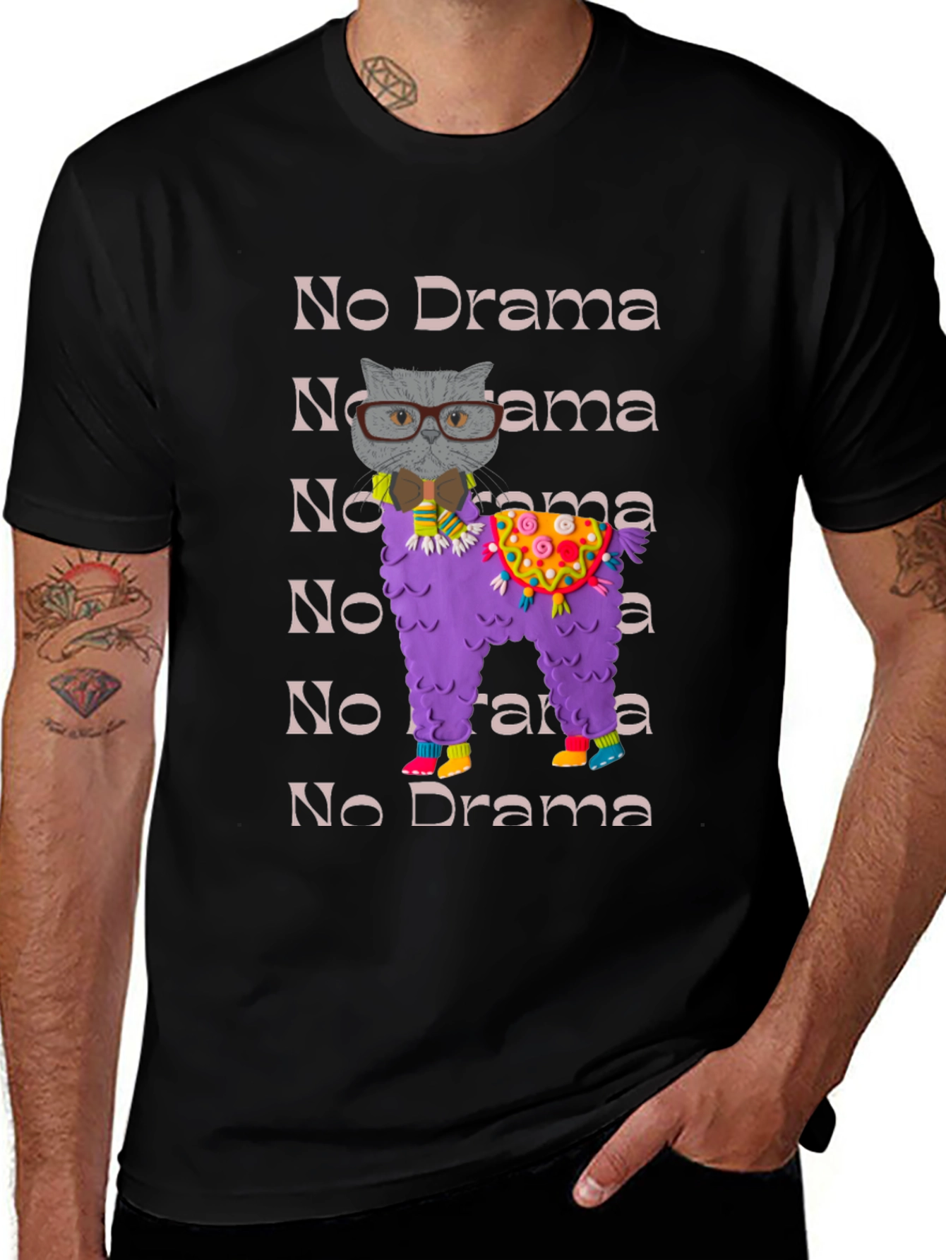 No Drama Llama & Cat T-Shirt Funny Graphic Tee