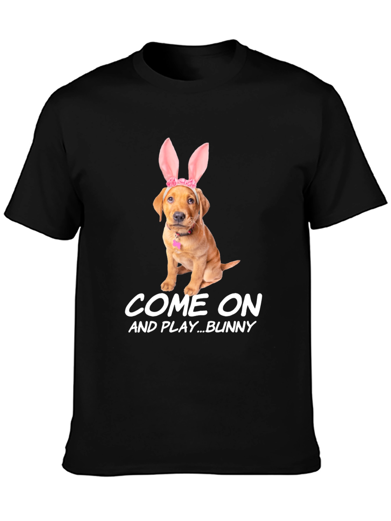 Come On and Play Bunny T-Shirt