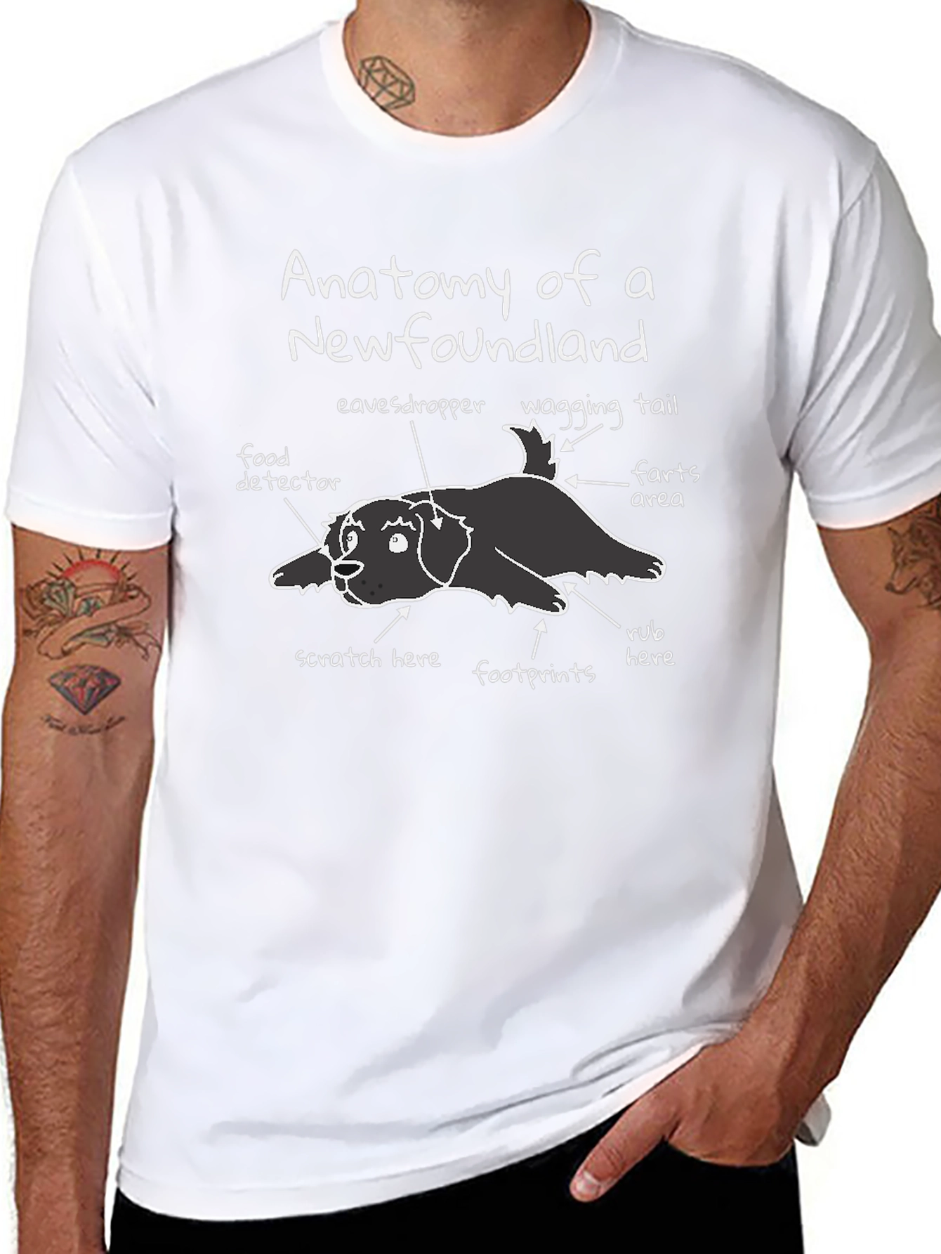 Anatomy of a Newfoundland T-Shirt