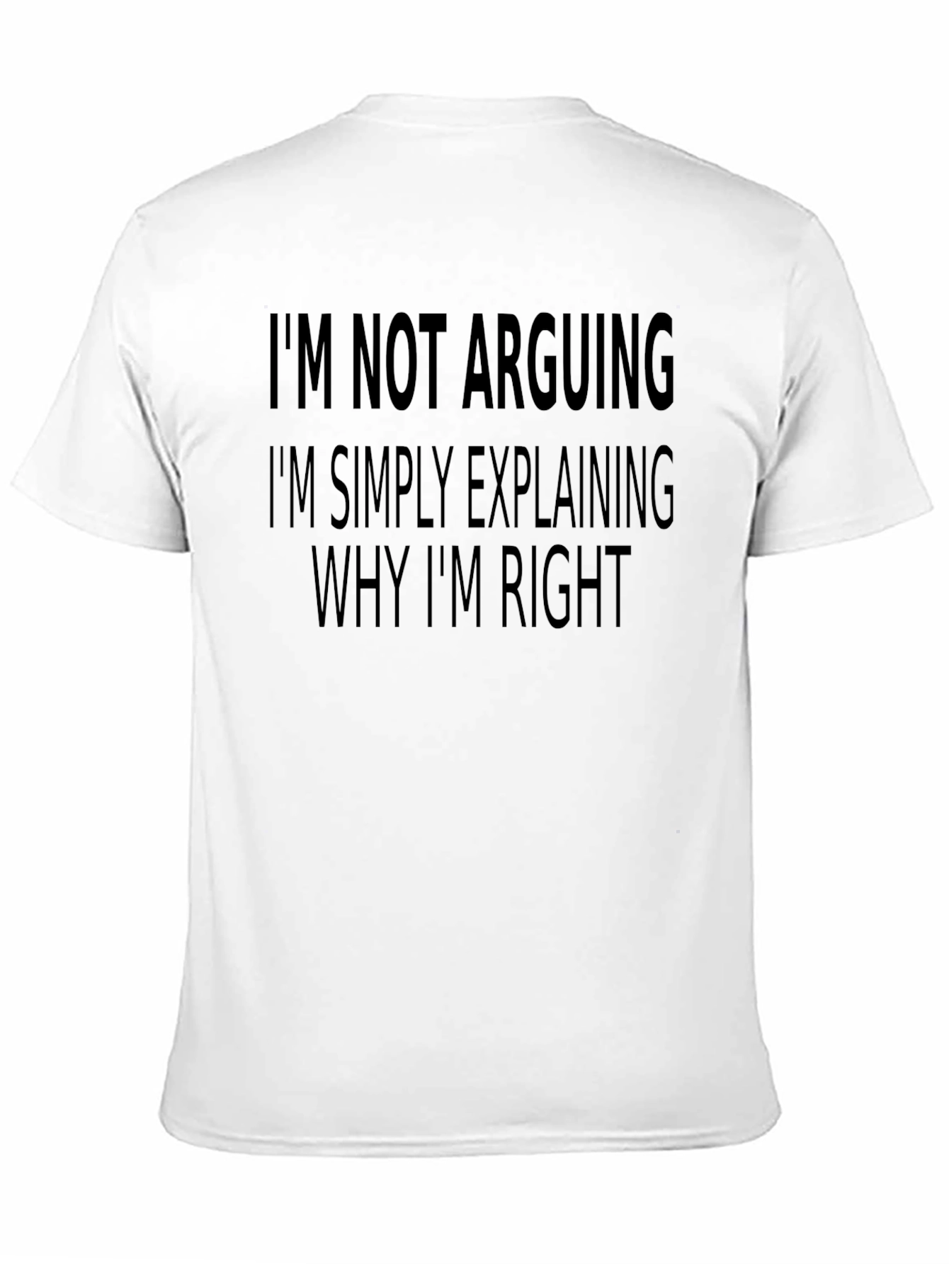 Funny Sarcastic T-Shirt: Im Not Arguing
