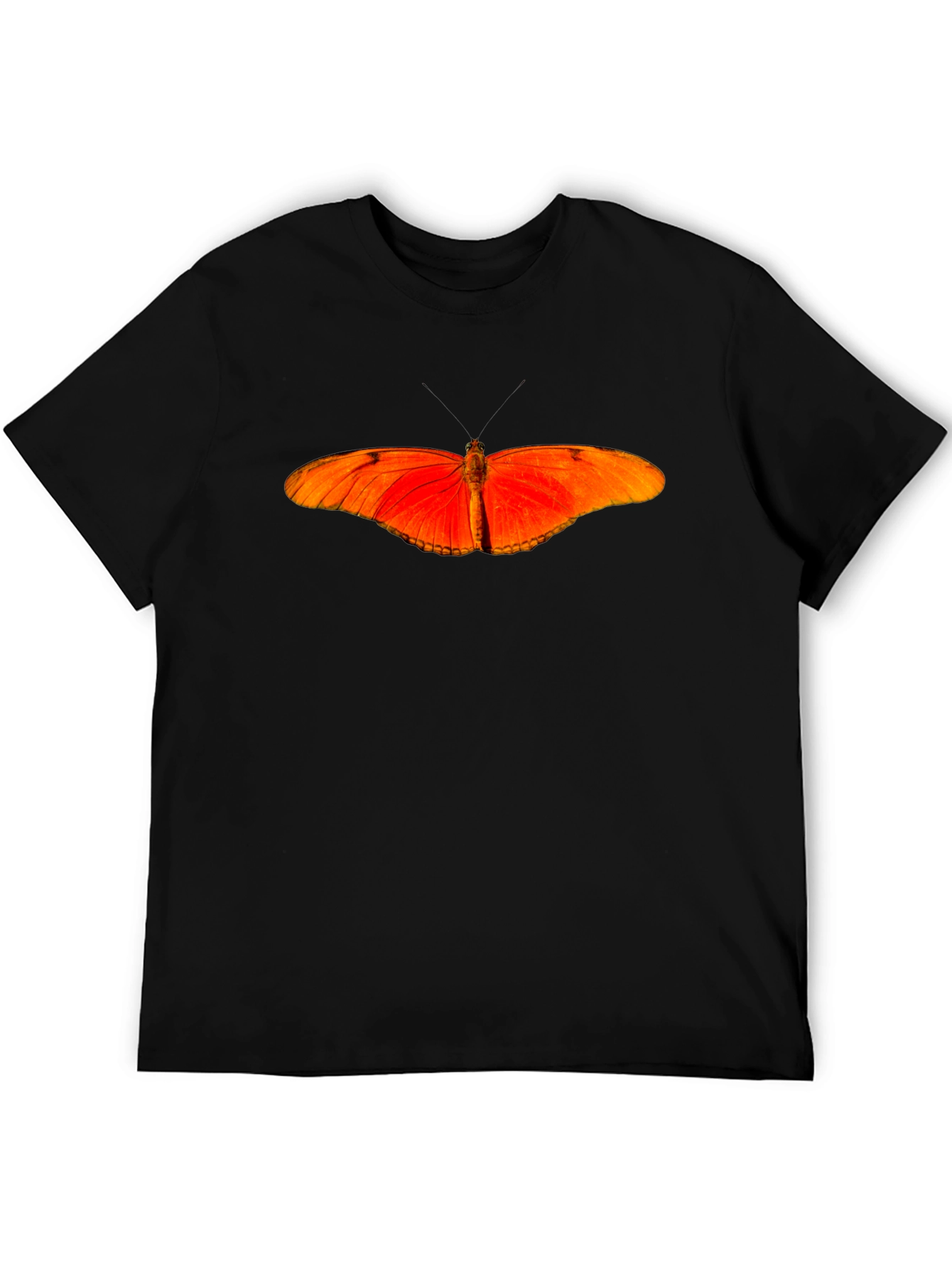 Butterfly Graphic T-Shirt