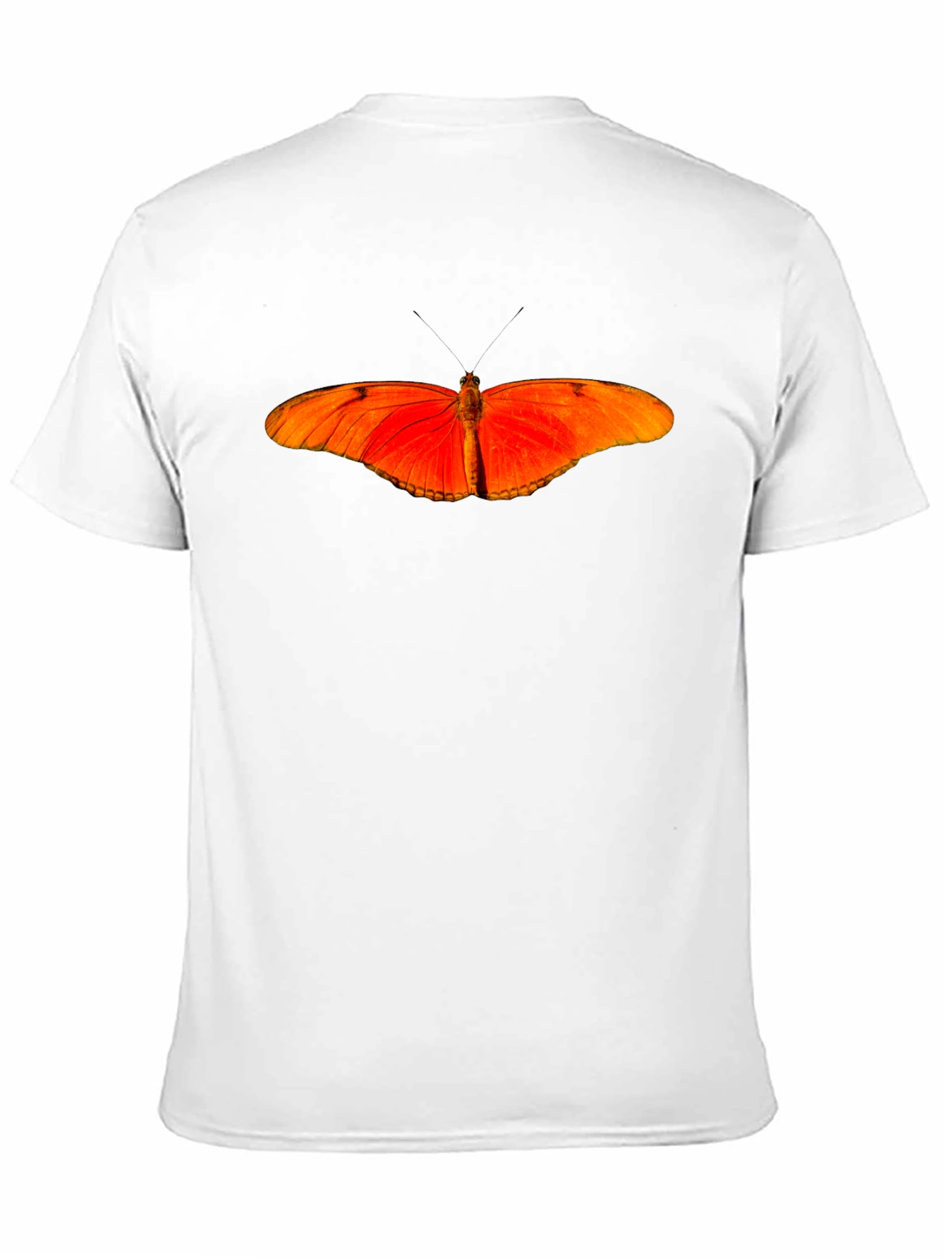 Butterfly Graphic T-Shirt