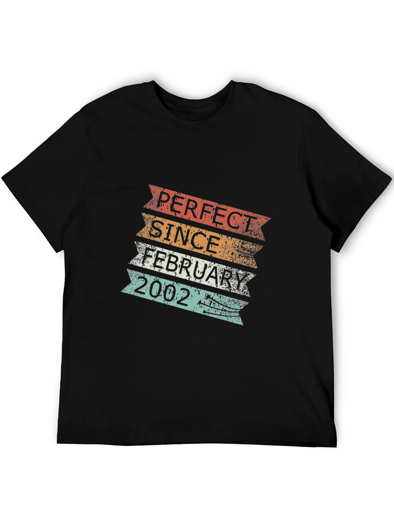 Perfect Since February 2002 T-Shirt