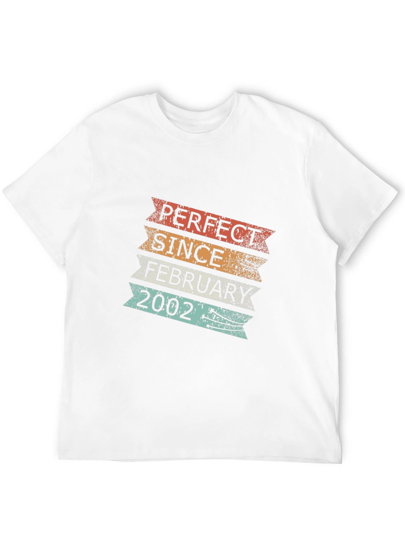 Perfect Since February 2002 T-Shirt