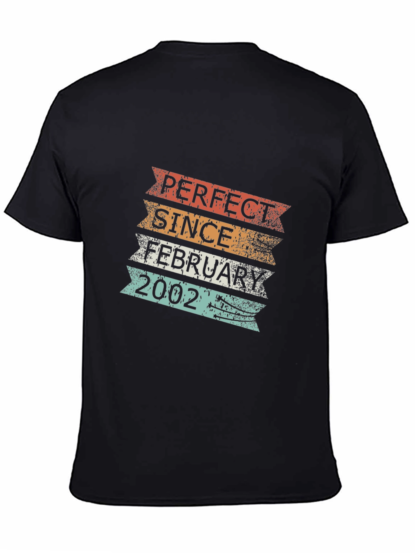 Perfect Since February 2002 T-Shirt