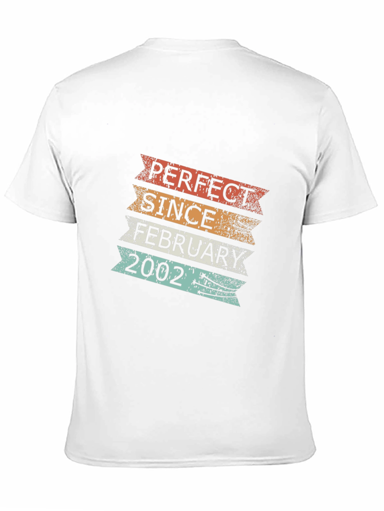 Perfect Since February 2002 T-Shirt